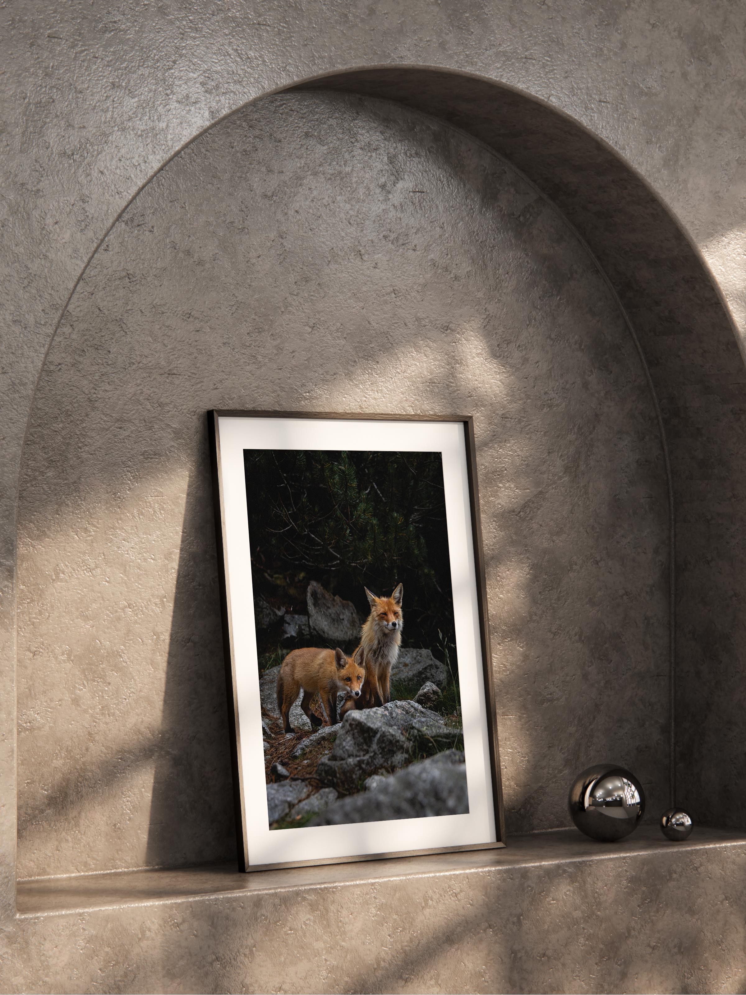 Çerçevesiz Poster, Hayvanlar & Safari Tablo No:38, HD Fotoğraf, Salon, Mutfak Duvar Dekoru Poster
