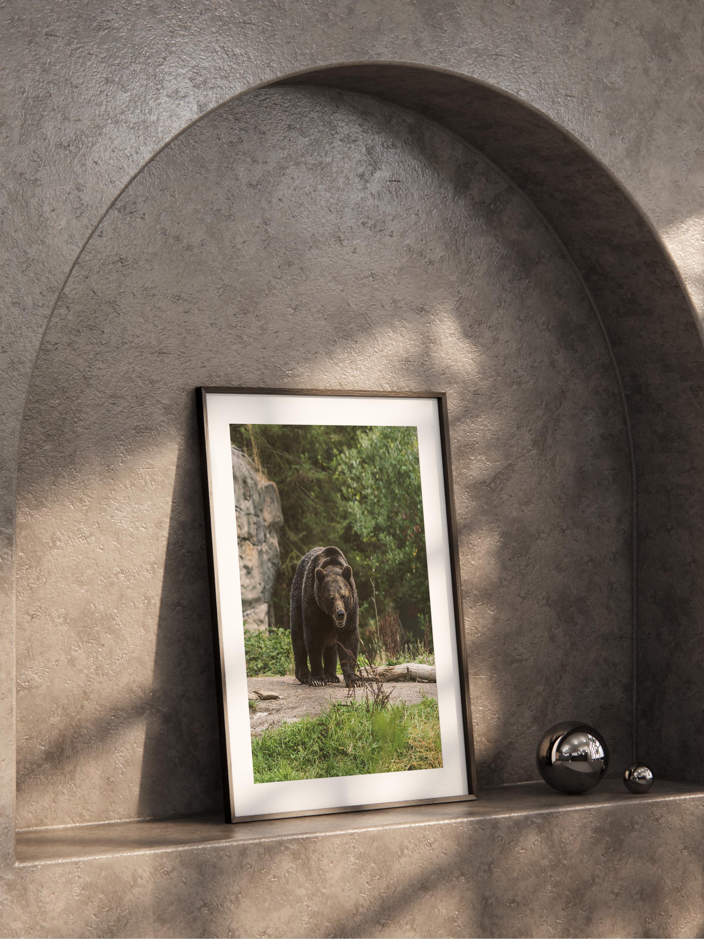 Çerçevesiz Poster, Hayvanlar & Safari Tablo No:40, HD Fotoğraf, Salon, Mutfak Duvar Dekoru Poster