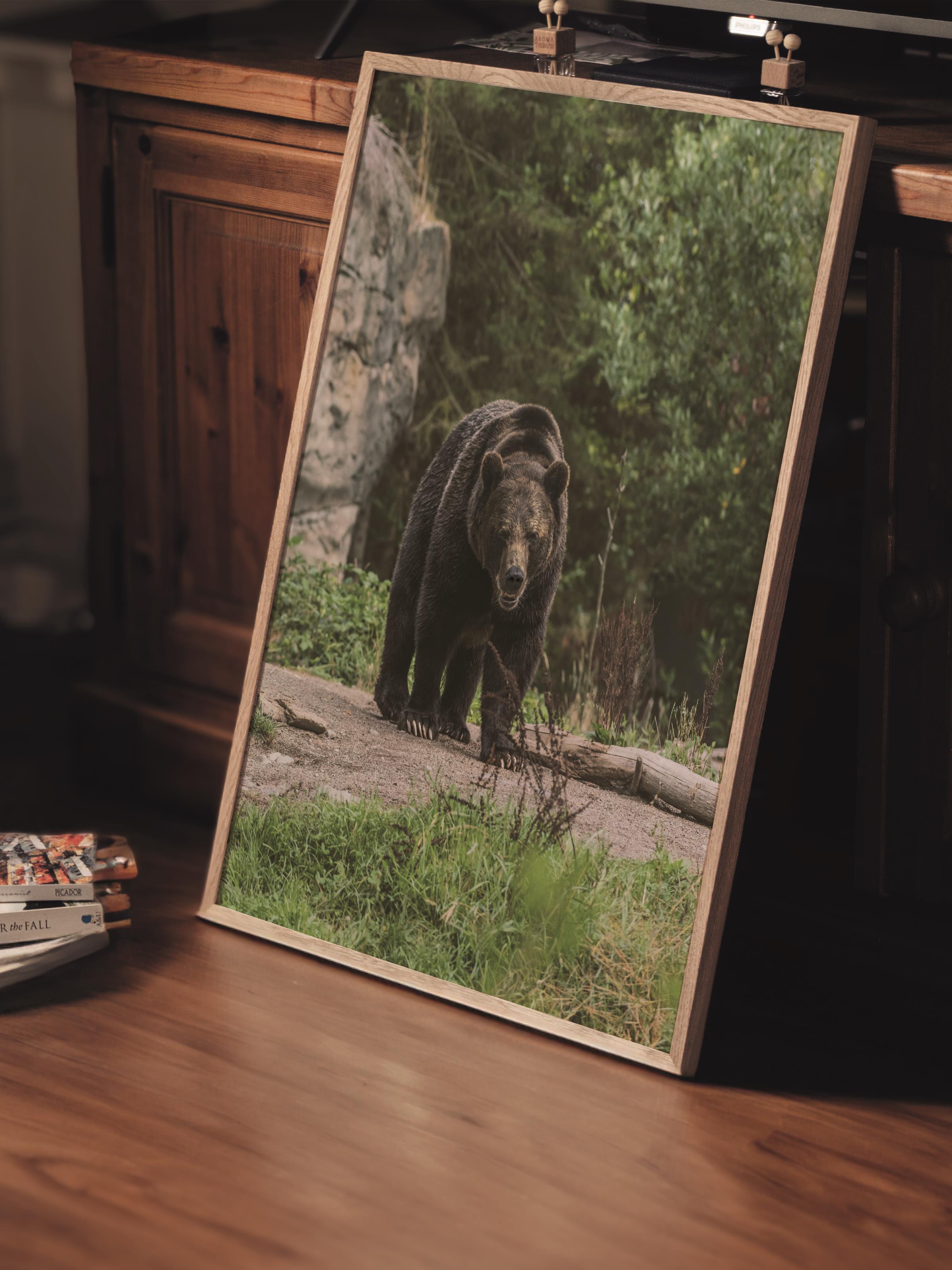 Çerçevesiz Poster, Hayvanlar & Safari Tablo No:40, HD Fotoğraf, Salon, Mutfak Duvar Dekoru Poster