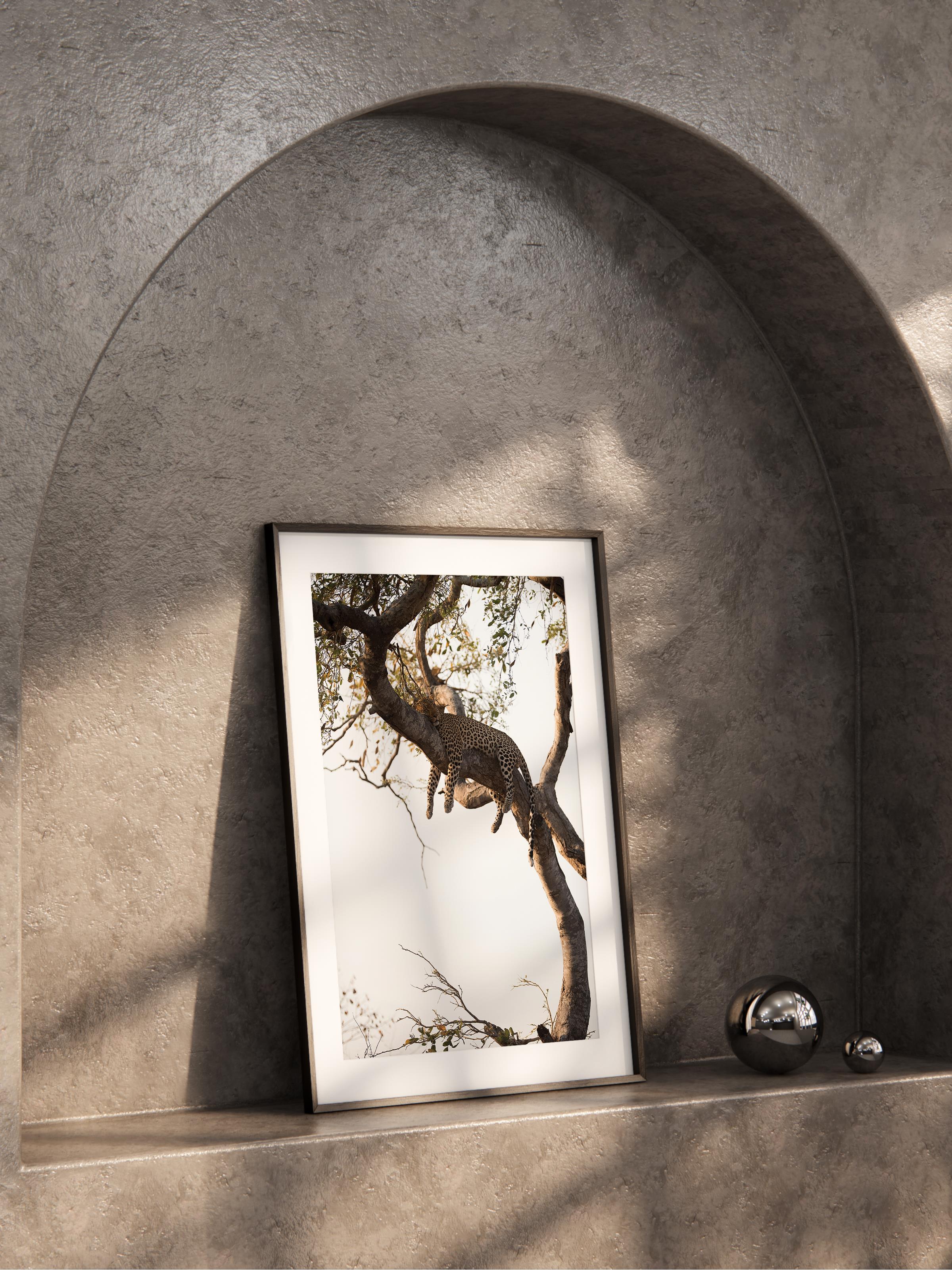 Çerçevesiz Poster, Hayvanlar & Safari Tablo No:41, HD Fotoğraf, Salon, Mutfak Duvar Dekoru Poster