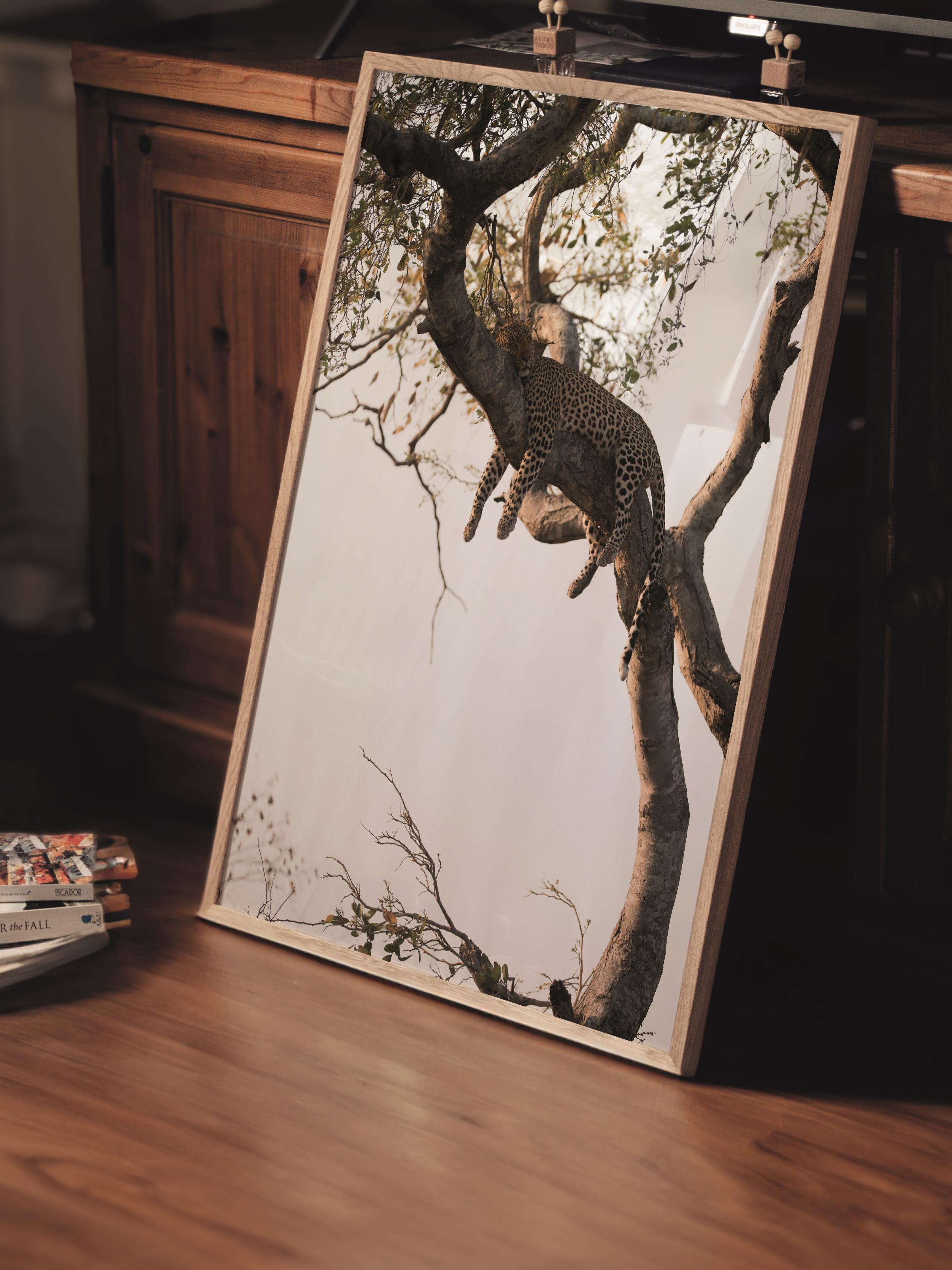 Çerçevesiz Poster, Hayvanlar & Safari Tablo No:41, HD Fotoğraf, Salon, Mutfak Duvar Dekoru Poster