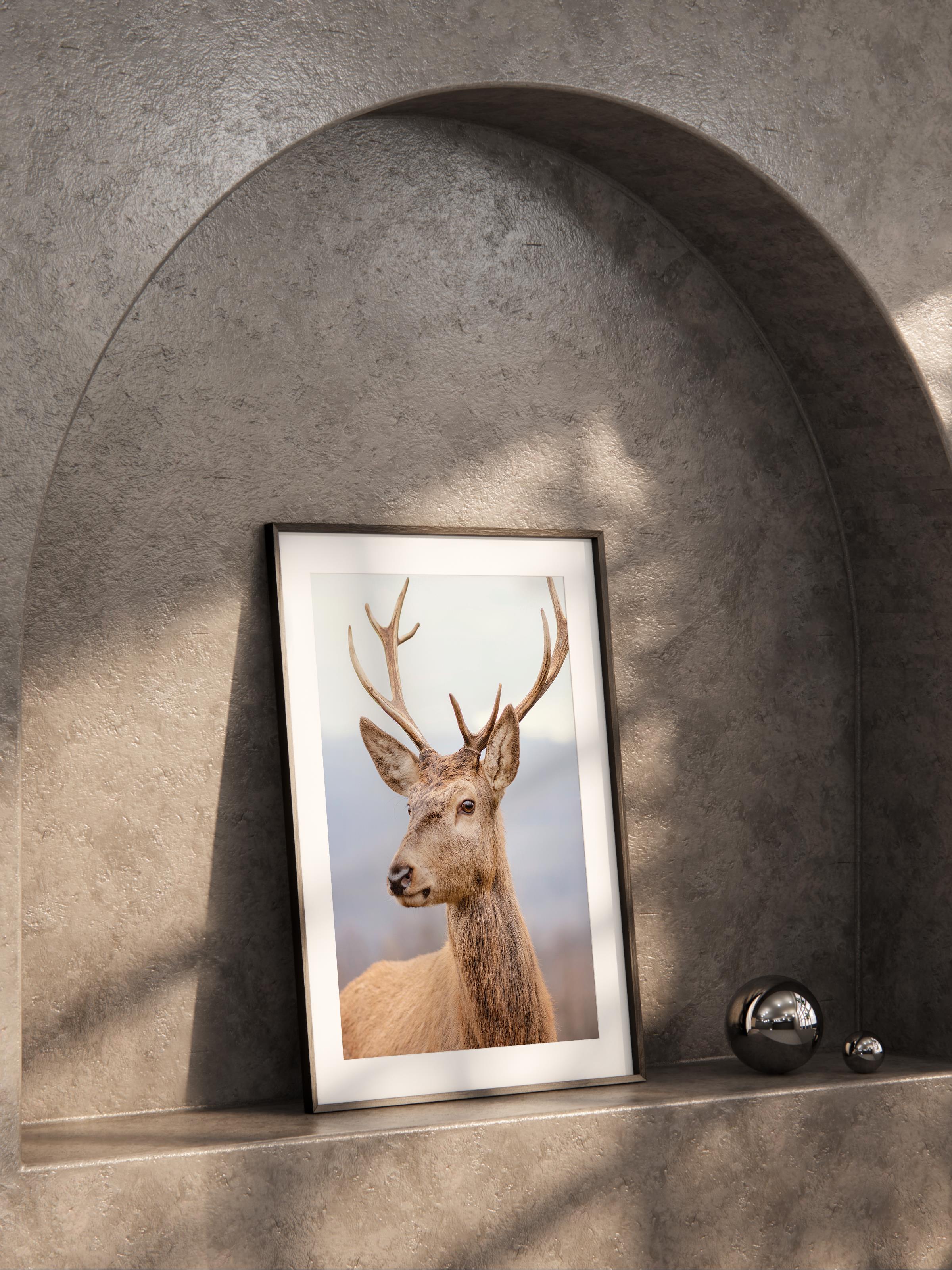 Çerçevesiz Poster, Hayvanlar & Safari Tablo No:48, HD Fotoğraf, Salon, Mutfak Duvar Dekoru Poster