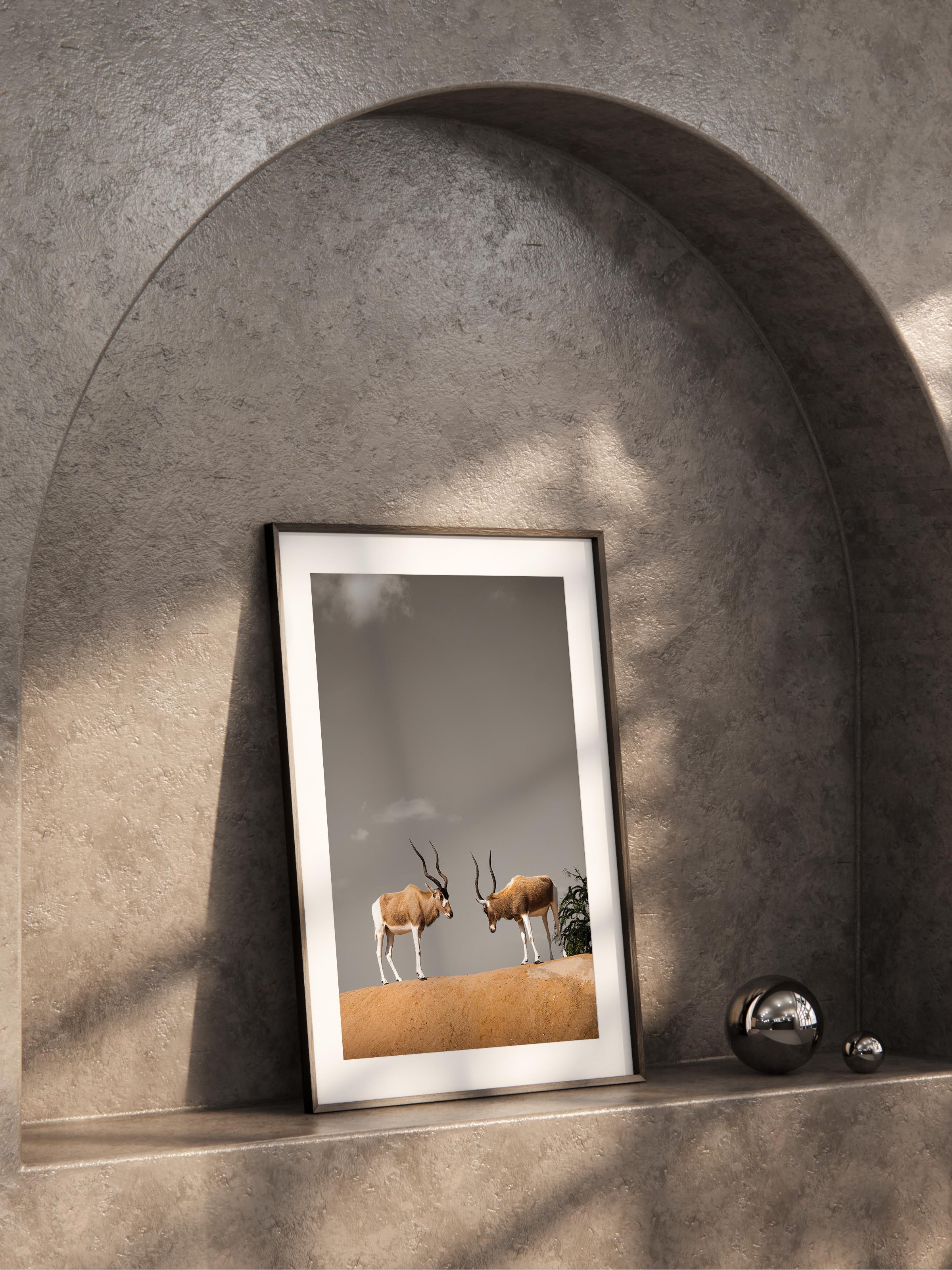 Çerçevesiz Poster, Hayvanlar & Safari Tablo No:49, HD Fotoğraf, Salon, Mutfak Duvar Dekoru Poster