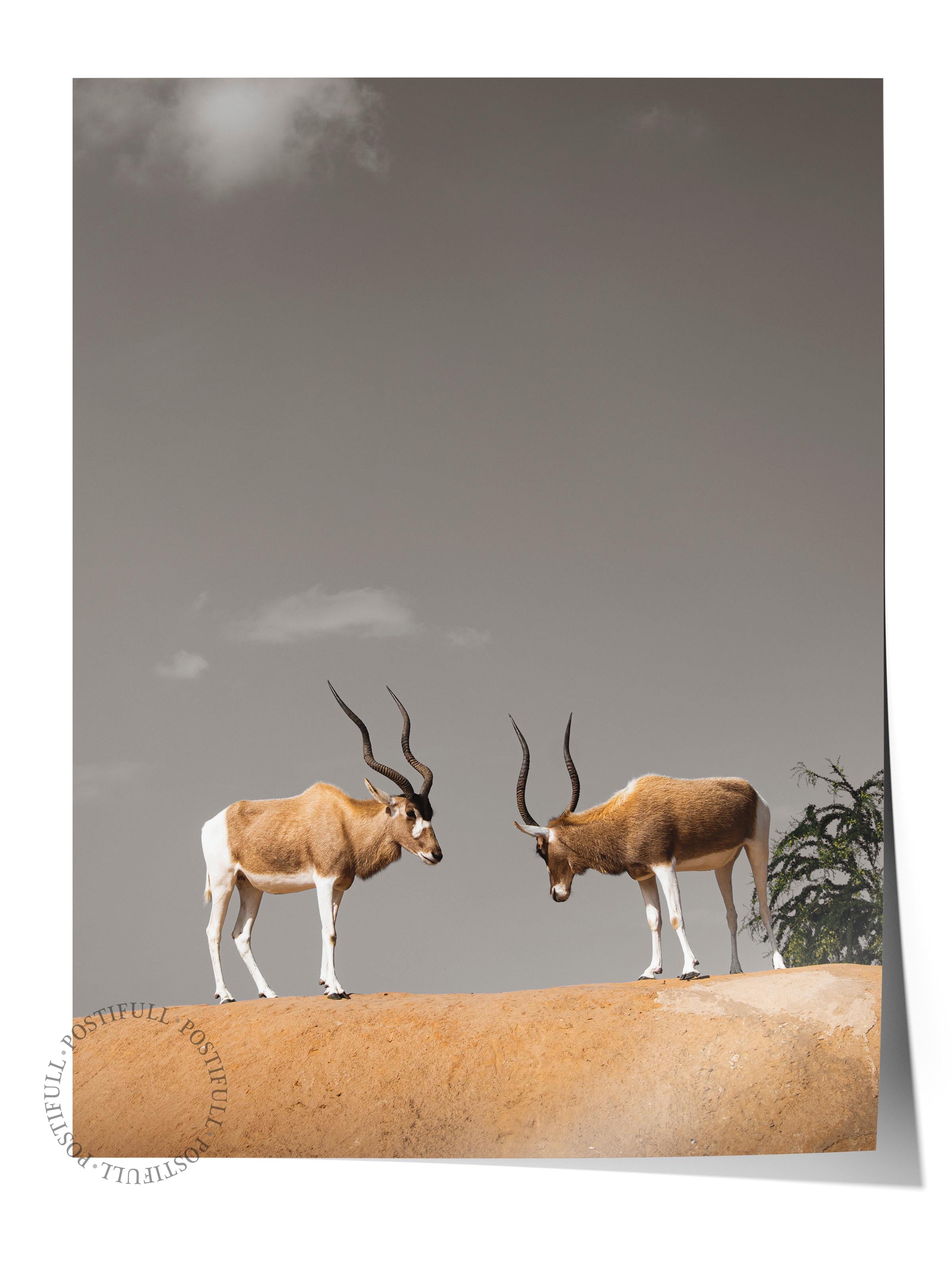 Çerçevesiz Poster, Hayvanlar & Safari Tablo No:49, HD Fotoğraf, Salon, Mutfak Duvar Dekoru Poster