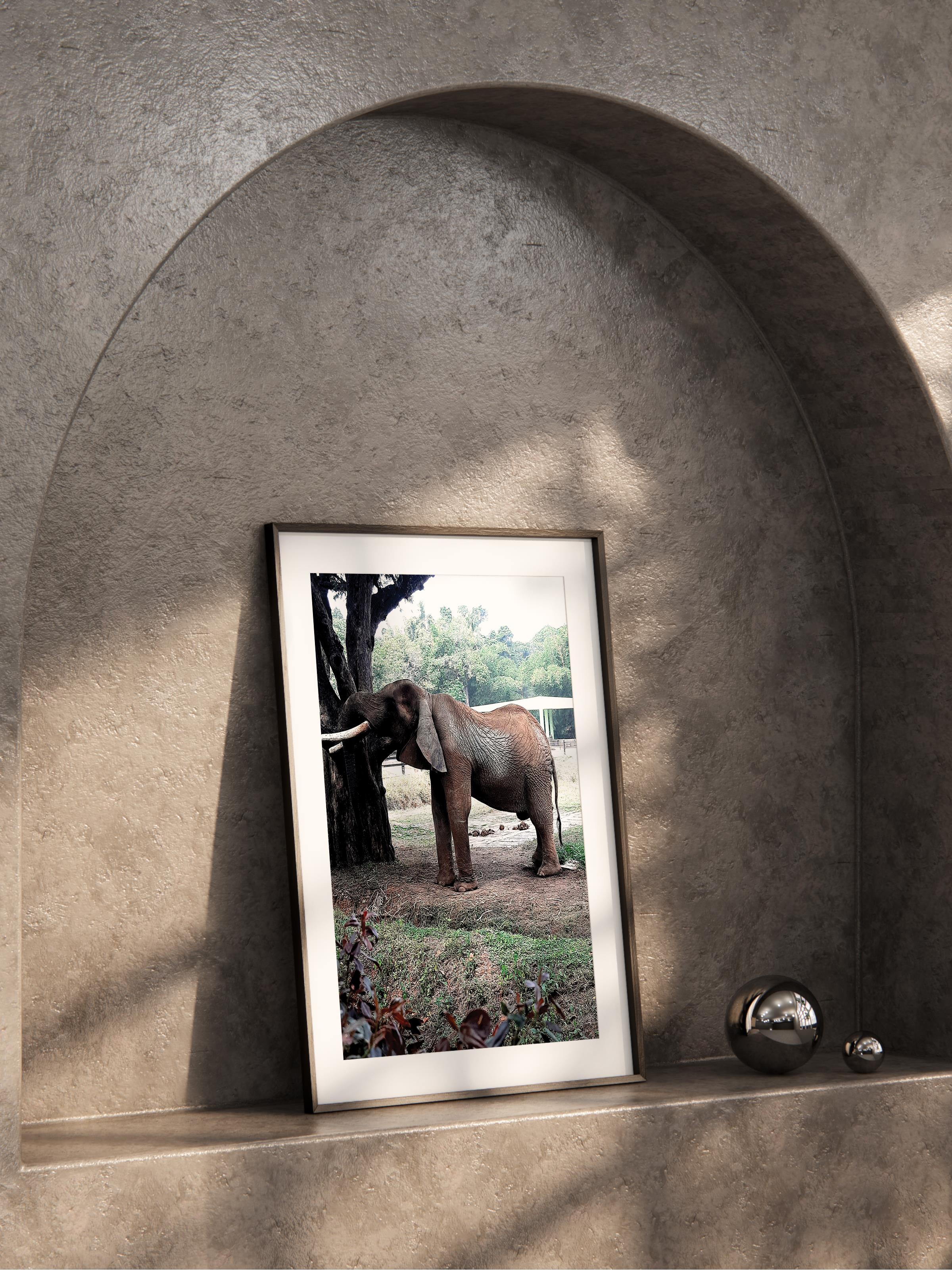 Çerçevesiz Poster, Hayvanlar & Safari Tablo No:50, HD Fotoğraf, Salon, Mutfak Duvar Dekoru Poster