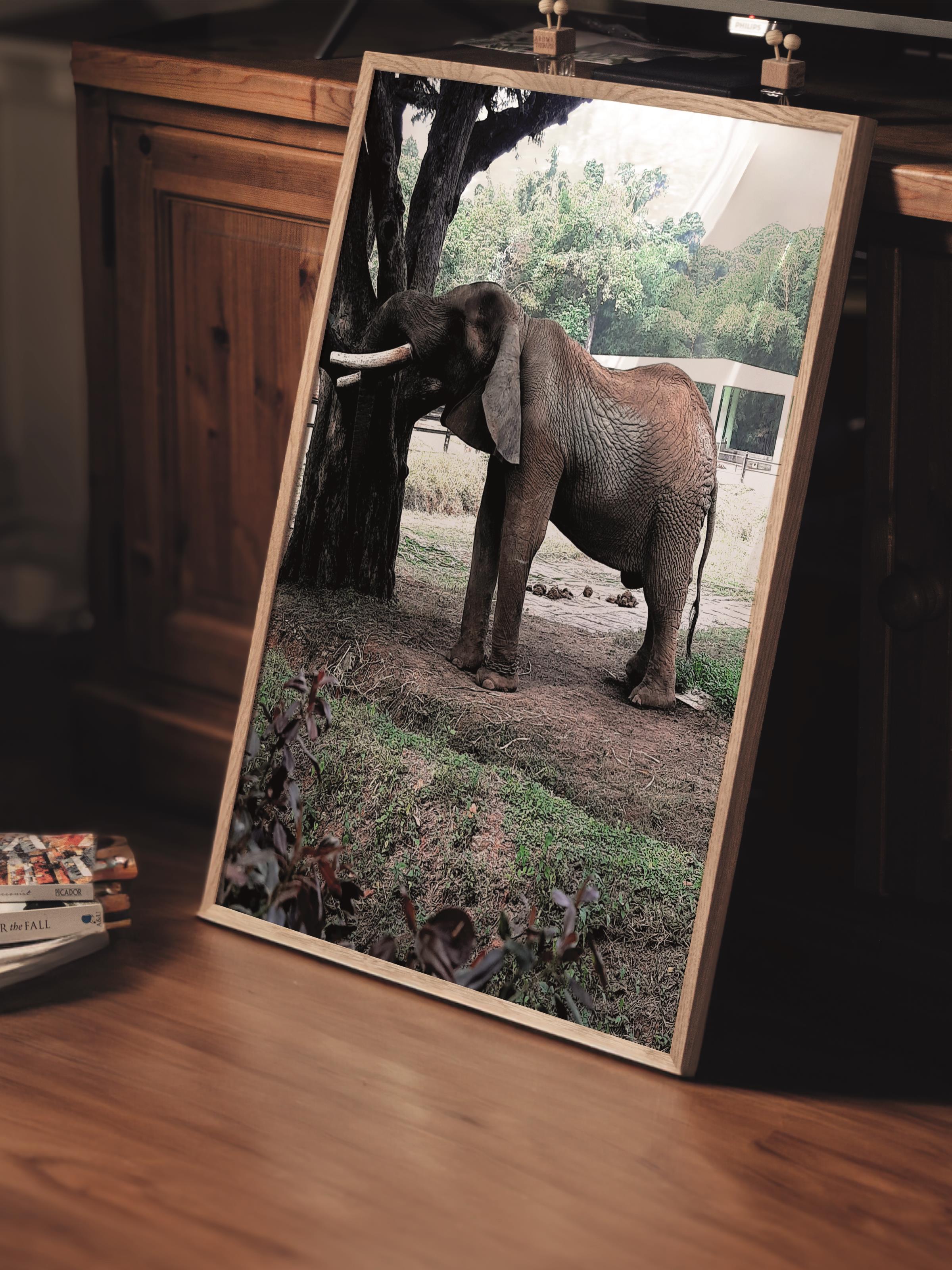 Çerçevesiz Poster, Hayvanlar & Safari Tablo No:50, HD Fotoğraf, Salon, Mutfak Duvar Dekoru Poster