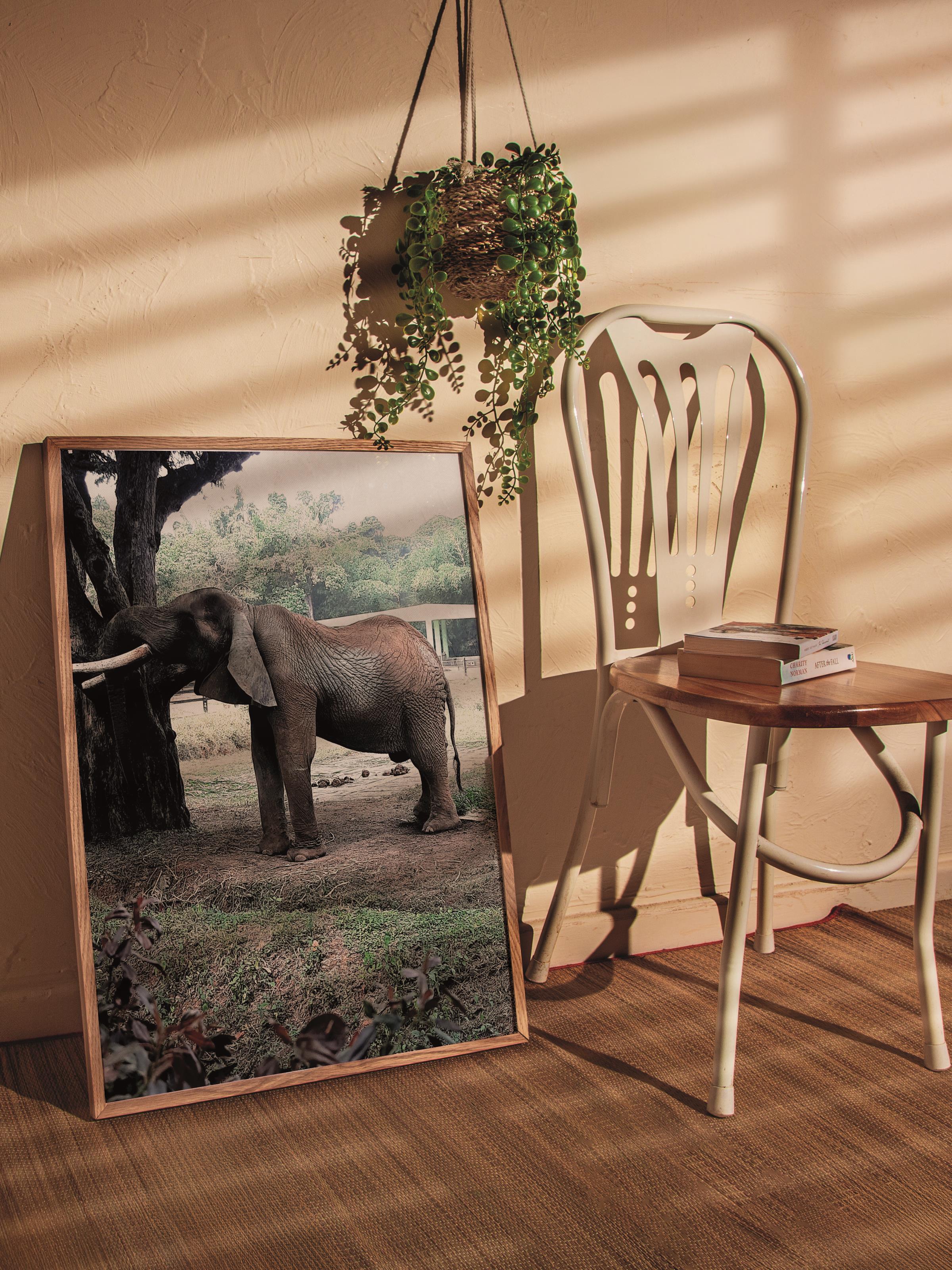 Çerçevesiz Poster, Hayvanlar & Safari Tablo No:50, HD Fotoğraf, Salon, Mutfak Duvar Dekoru Poster