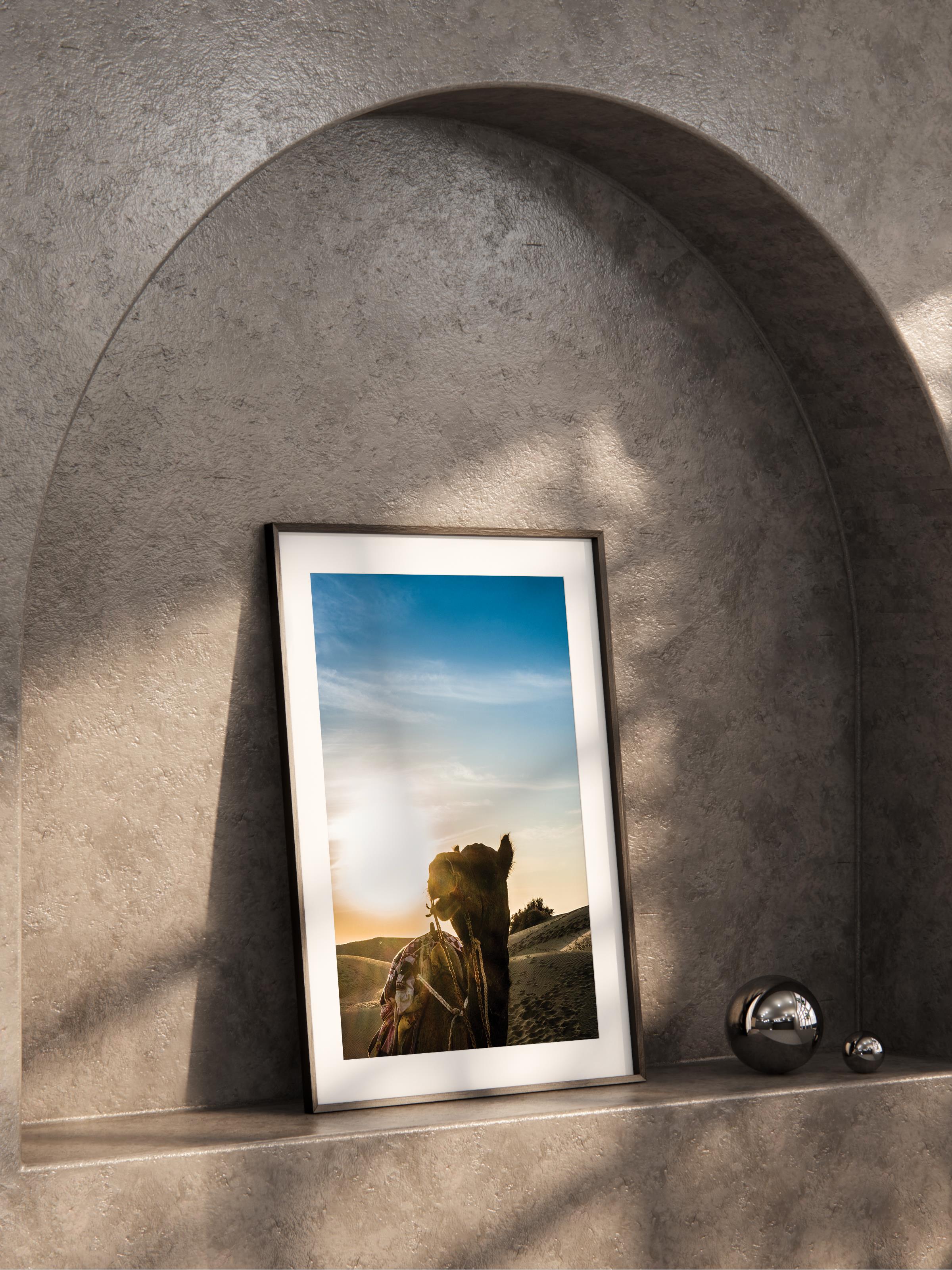 Çerçevesiz Poster, Hayvanlar & Safari Tablo No:7, HD Fotoğraf, Salon, Mutfak Duvar Dekoru Poster