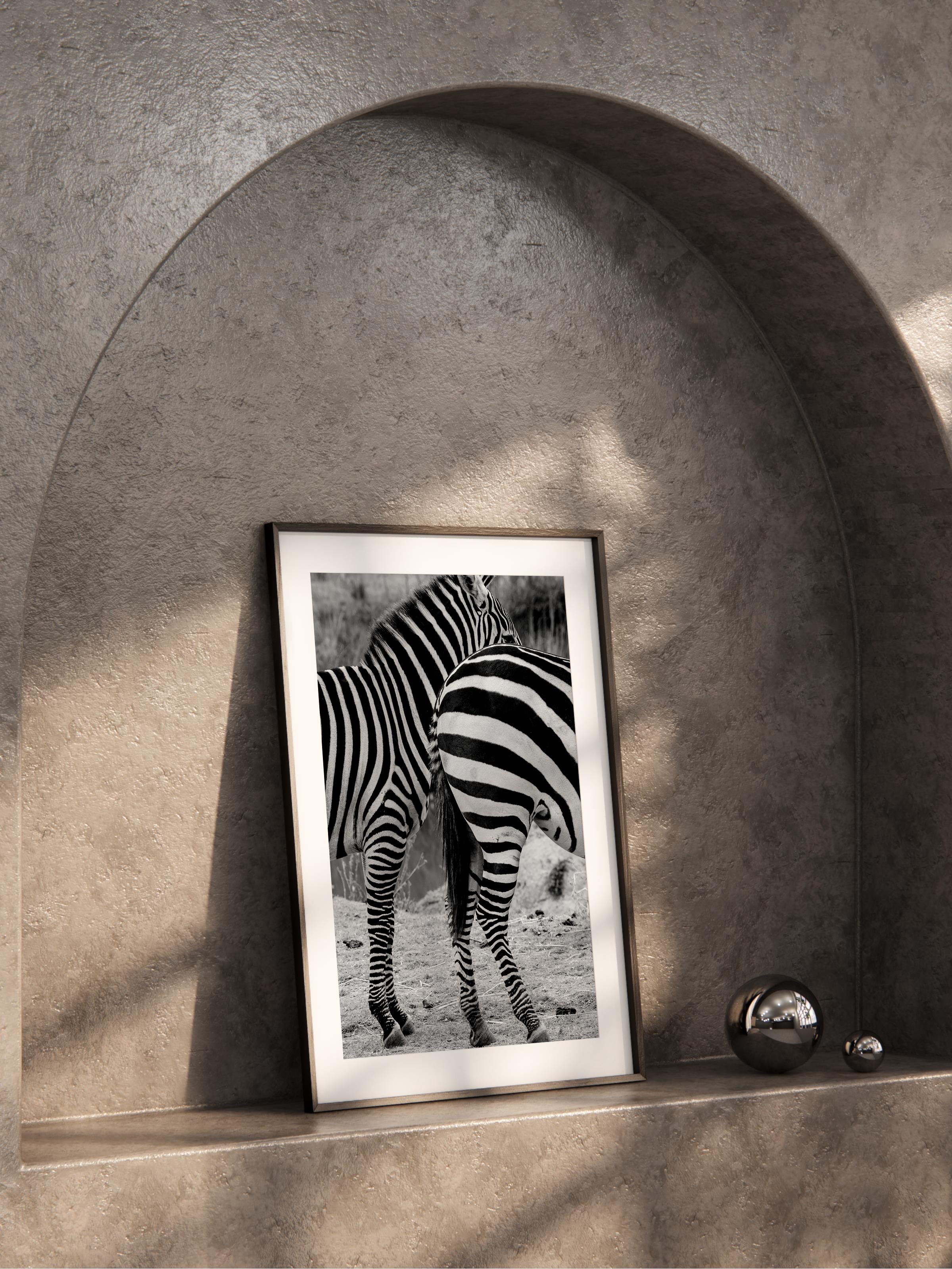 Çerçevesiz Poster, Hayvanlar & Safari Tablo No:8, HD Fotoğraf, Salon, Mutfak Duvar Dekoru Poster