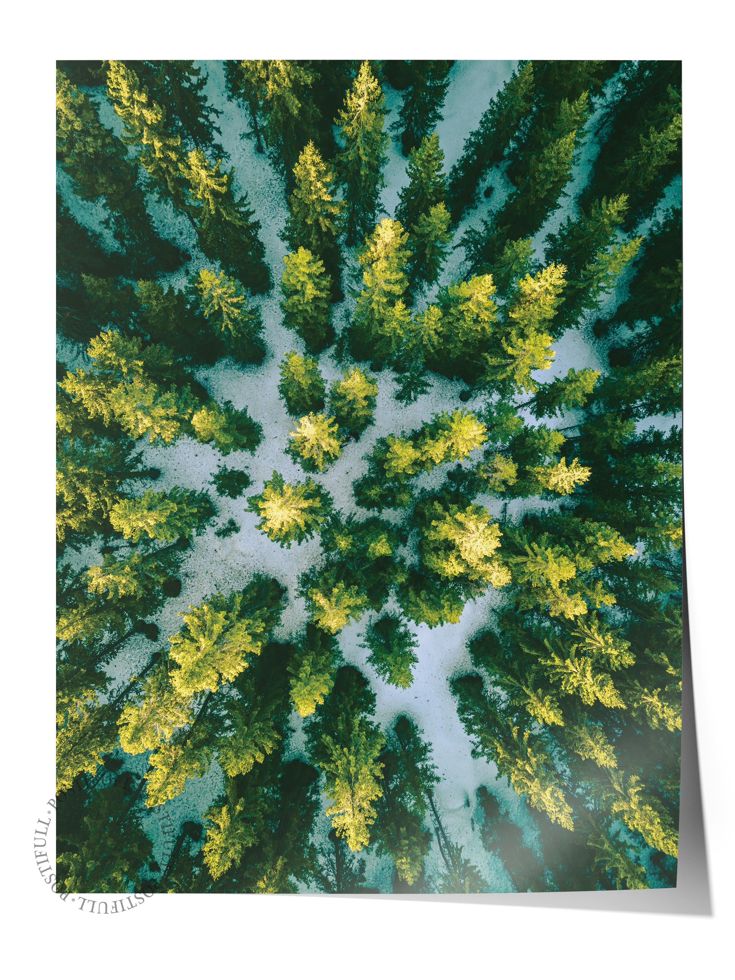 Çerçevesiz Poster Orman No:1, Fotoğraf Baskısı, Salon, Mutfak, Oturma Odası, Hol Duvar Dekoru Poster
