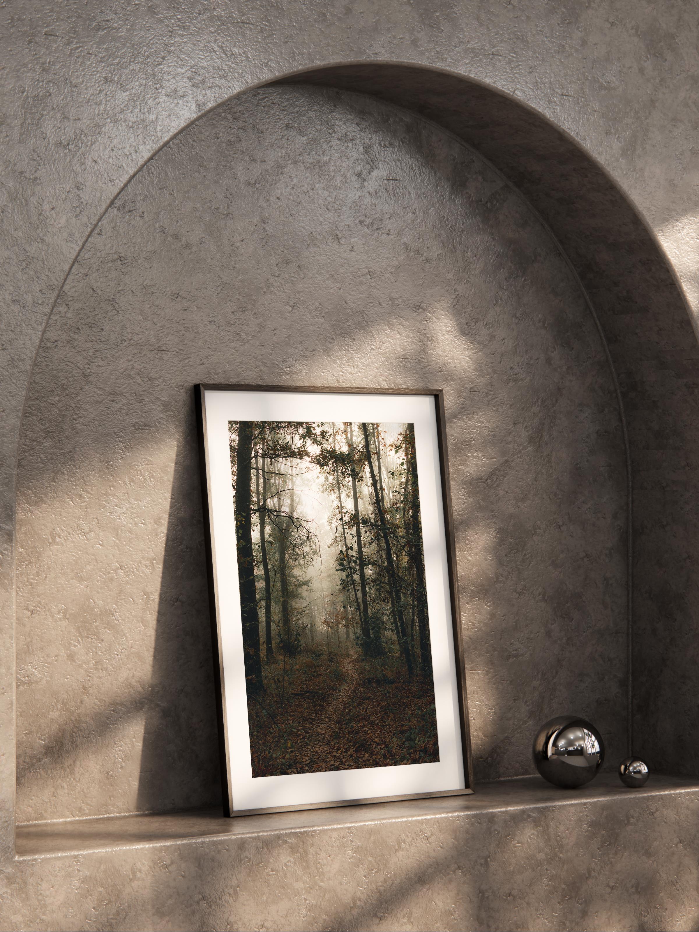Çerçevesiz Poster Orman No:15, Fotoğraf Baskısı, Salon, Mutfak, Oturma Odası, Hol Duvar Dekoru Poster