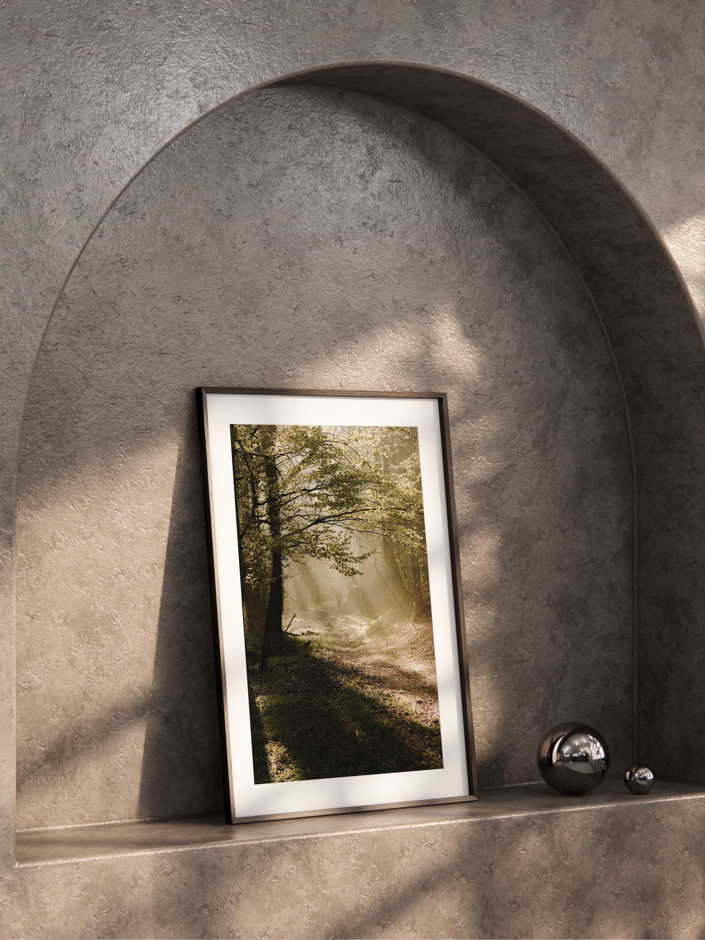 Çerçevesiz Poster Orman No:19, Fotoğraf Baskısı, Salon, Mutfak, Oturma Odası, Hol Duvar Dekoru Poster