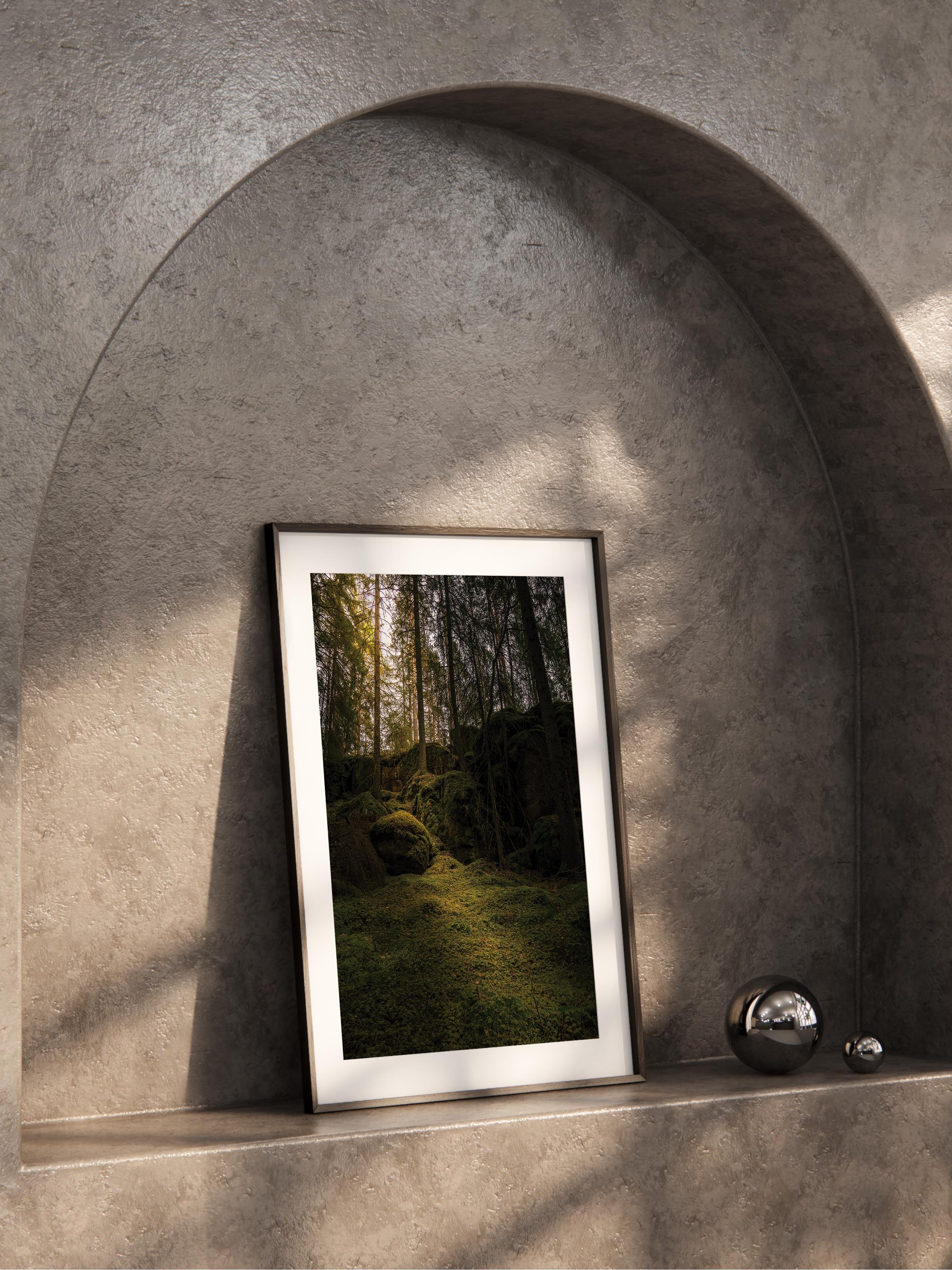 Çerçevesiz Poster Orman No:20, Fotoğraf Baskısı, Salon, Mutfak, Oturma Odası, Hol Duvar Dekoru Poster