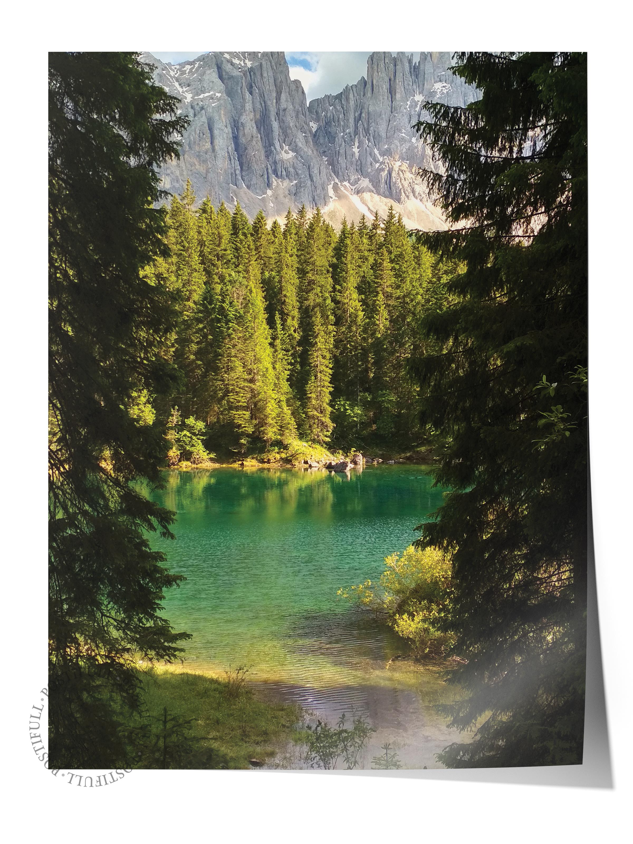 Çerçevesiz Poster Orman No:24, Fotoğraf Baskısı, Salon, Mutfak, Oturma Odası, Hol Duvar Dekoru Poster