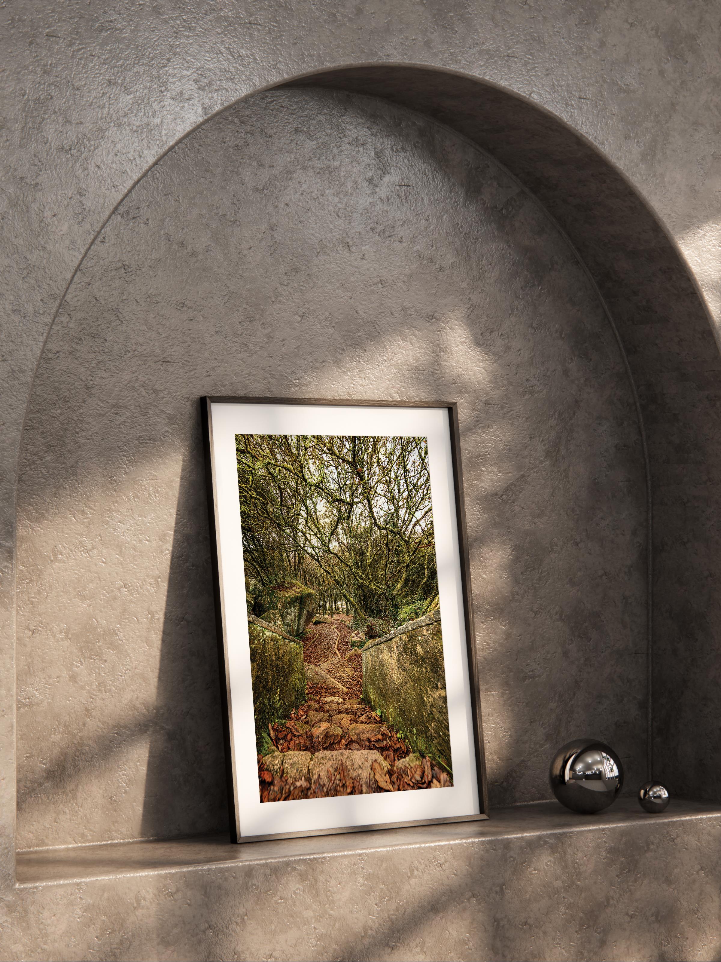 Çerçevesiz Poster Orman No:37, Fotoğraf Baskısı, Salon, Mutfak, Oturma Odası, Hol Duvar Dekoru Poster