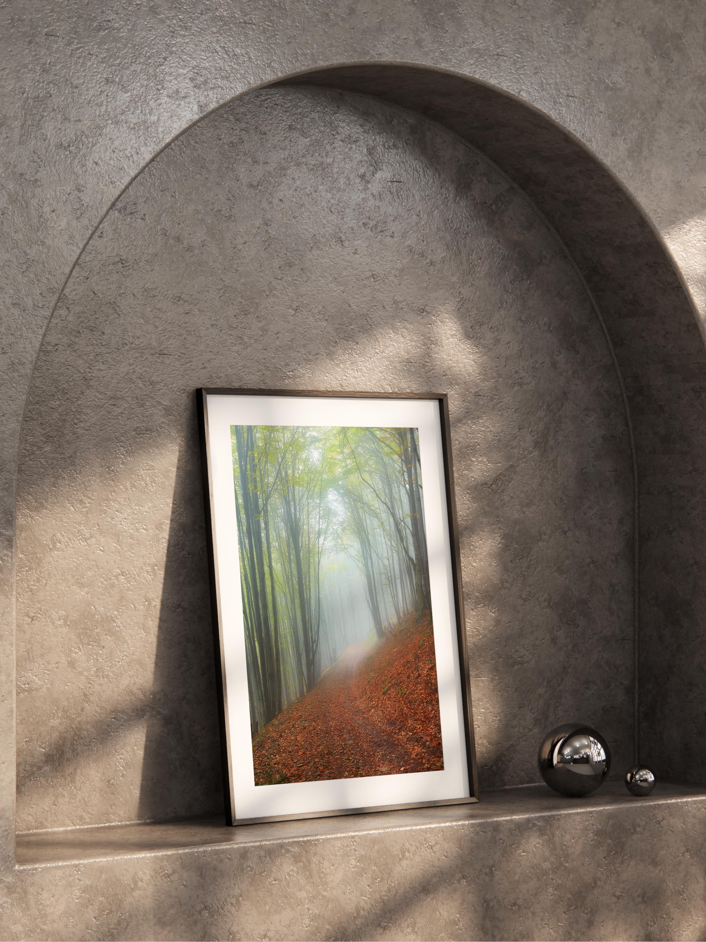 Çerçevesiz Poster Orman No:4, Fotoğraf Baskısı, Salon, Mutfak, Oturma Odası, Hol Duvar Dekoru Poster