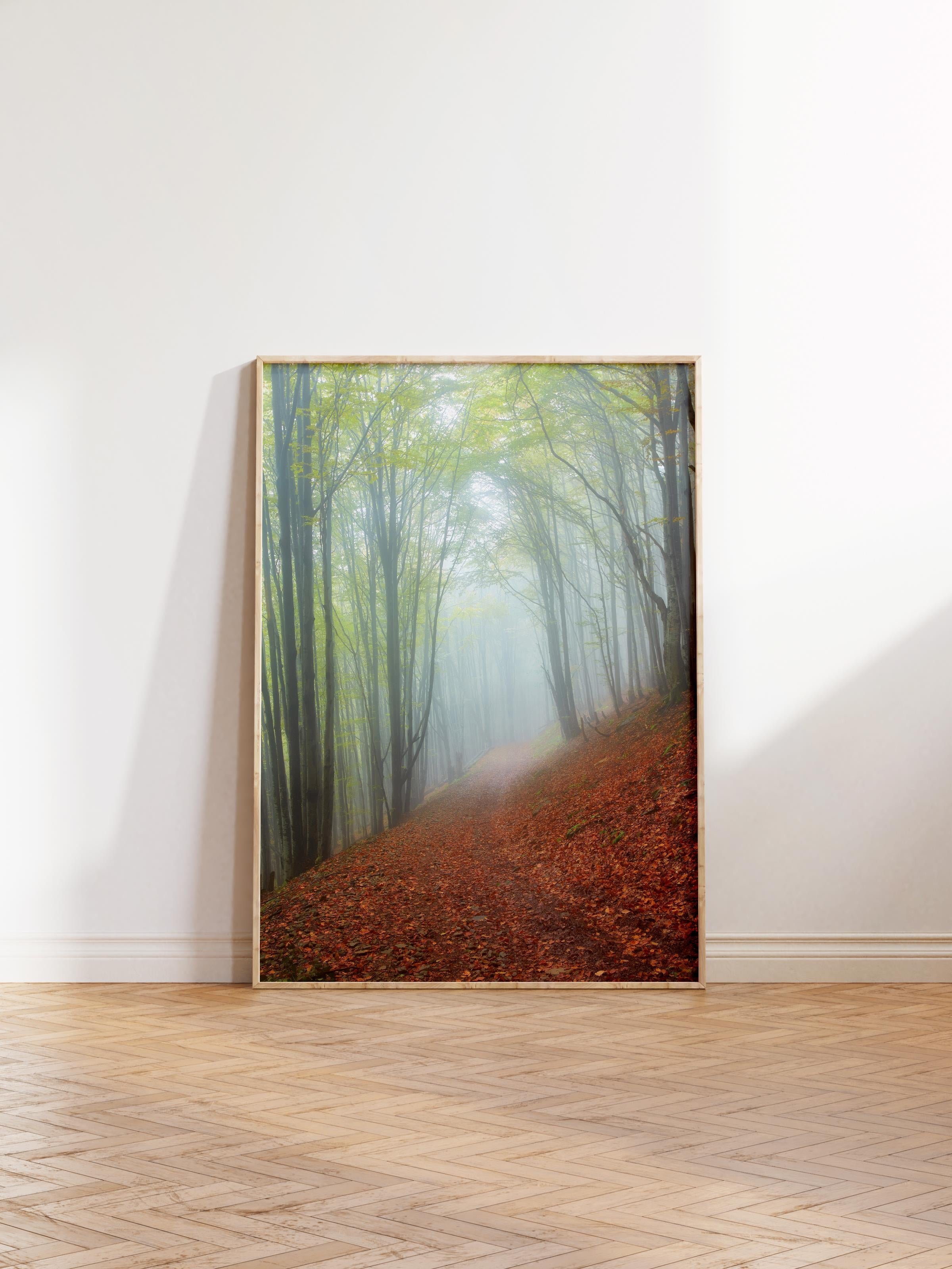 Çerçevesiz Poster Orman No:4, Fotoğraf Baskısı, Salon, Mutfak, Oturma Odası, Hol Duvar Dekoru Poster