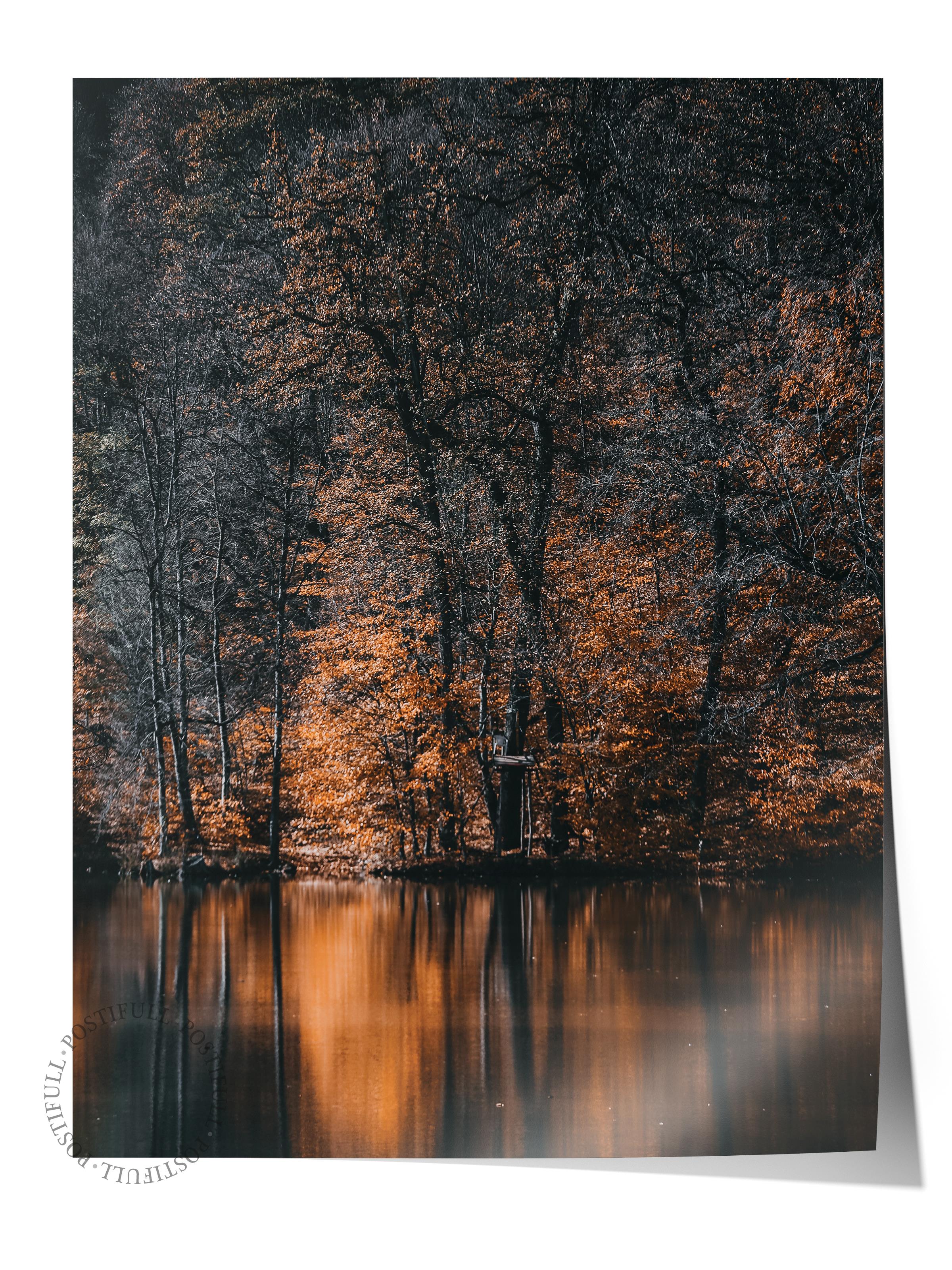 Çerçevesiz Poster Orman No:41, Fotoğraf Baskısı, Salon, Mutfak, Oturma Odası, Hol Duvar Dekoru Poster