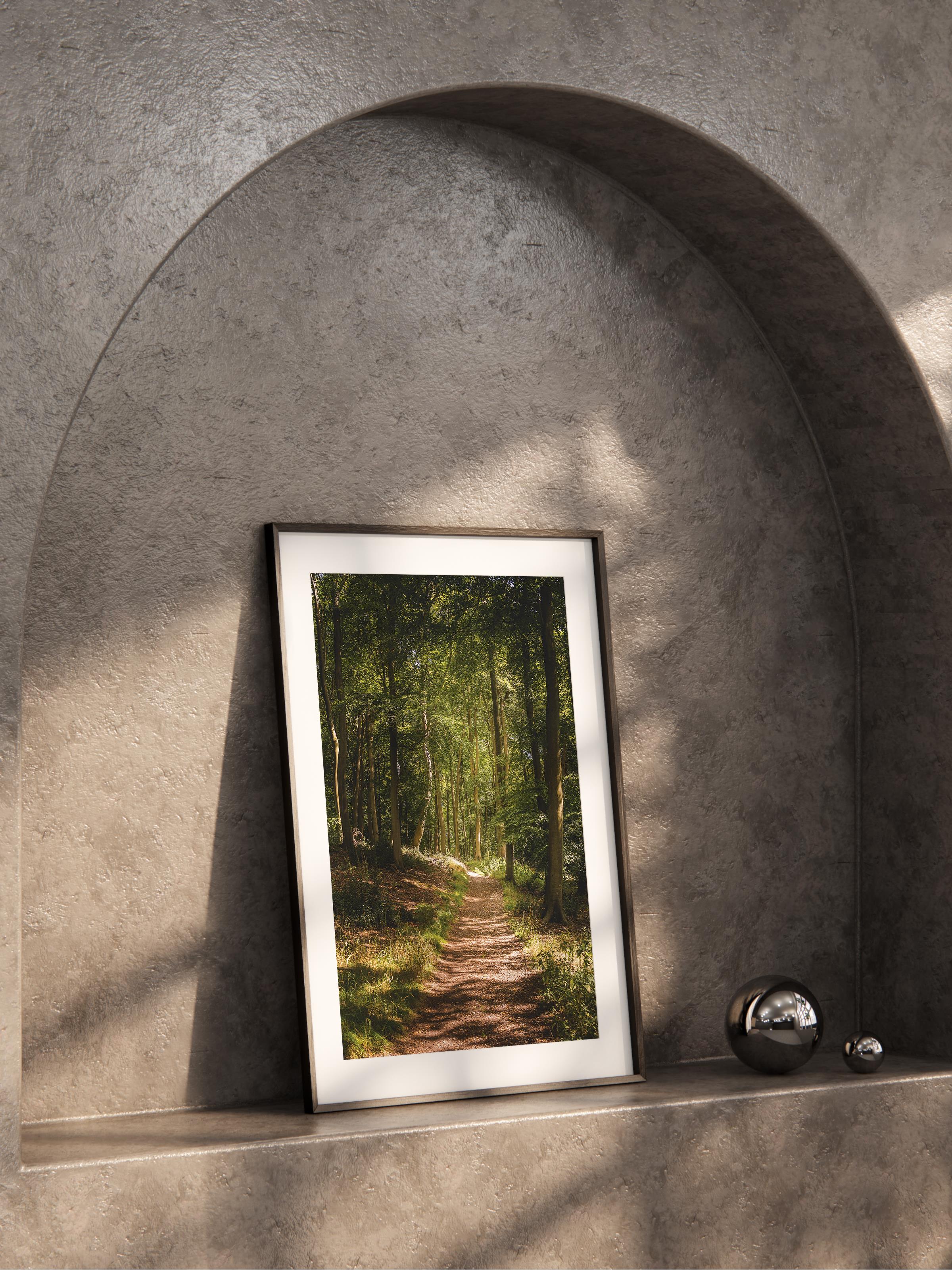 Çerçevesiz Poster Orman No:44, Fotoğraf Baskısı, Salon, Mutfak, Oturma Odası, Hol Duvar Dekoru Poster
