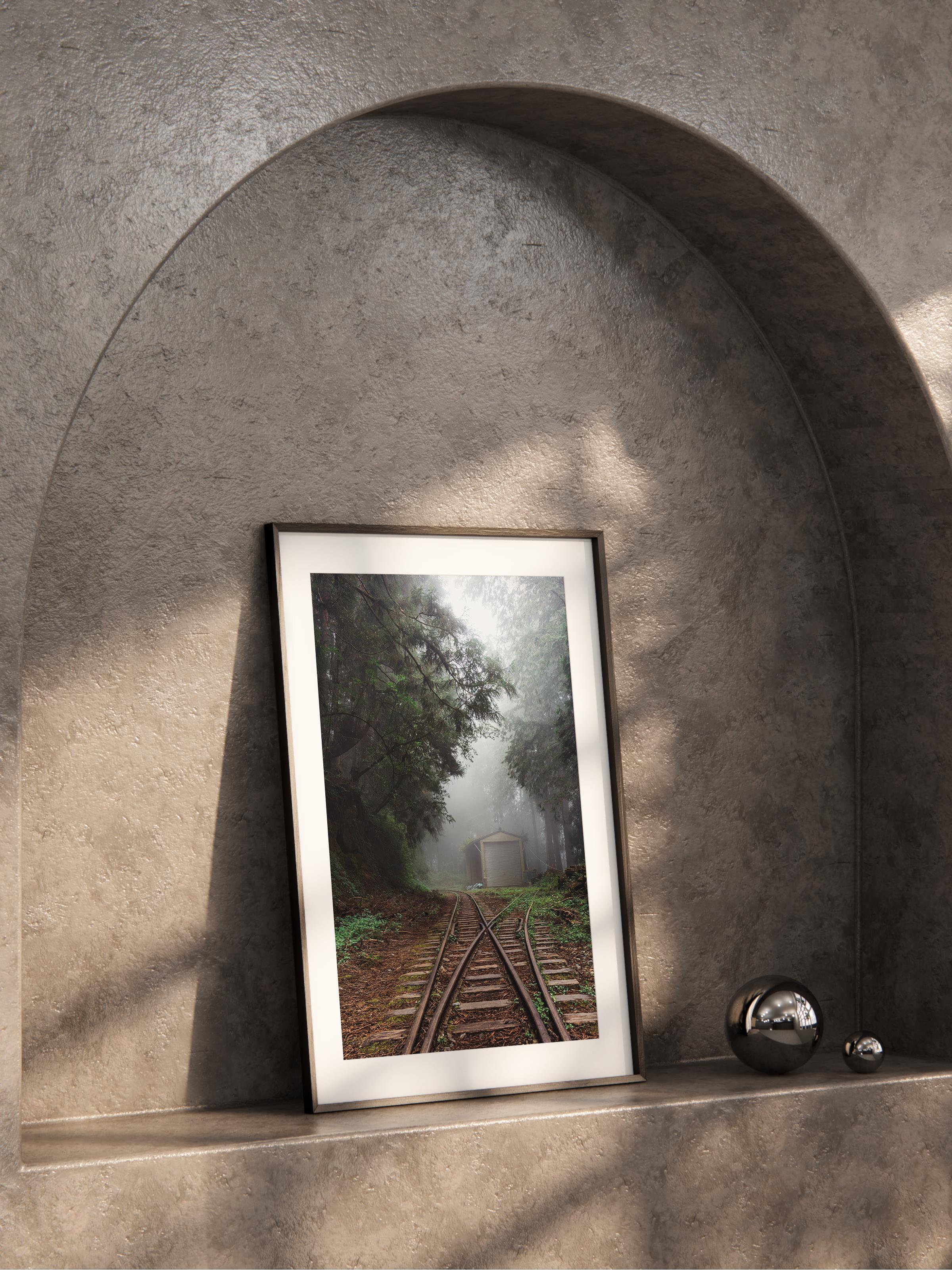 Çerçevesiz Poster Orman No:45, Fotoğraf Baskısı, Salon, Mutfak, Oturma Odası, Hol Duvar Dekoru Poster