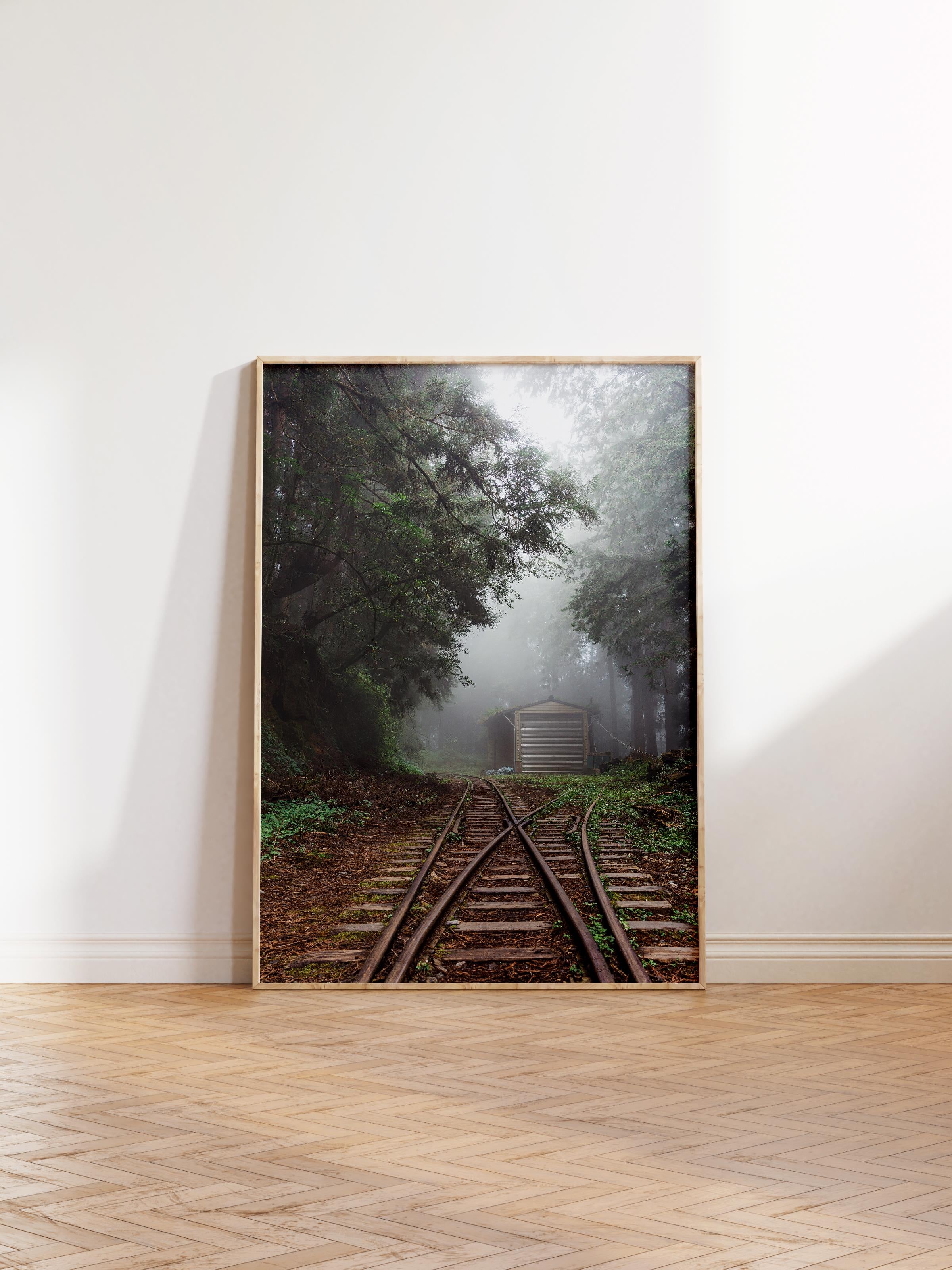 Çerçevesiz Poster Orman No:45, Fotoğraf Baskısı, Salon, Mutfak, Oturma Odası, Hol Duvar Dekoru Poster