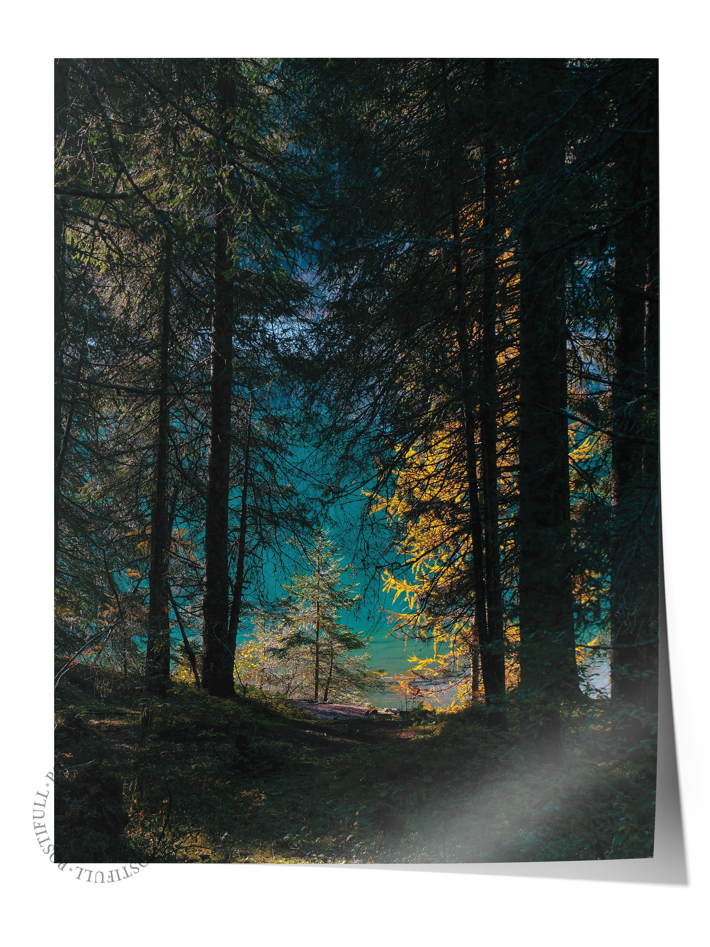 Çerçevesiz Poster Orman No:48, Fotoğraf Baskısı, Salon, Mutfak, Oturma Odası, Hol Duvar Dekoru Poster