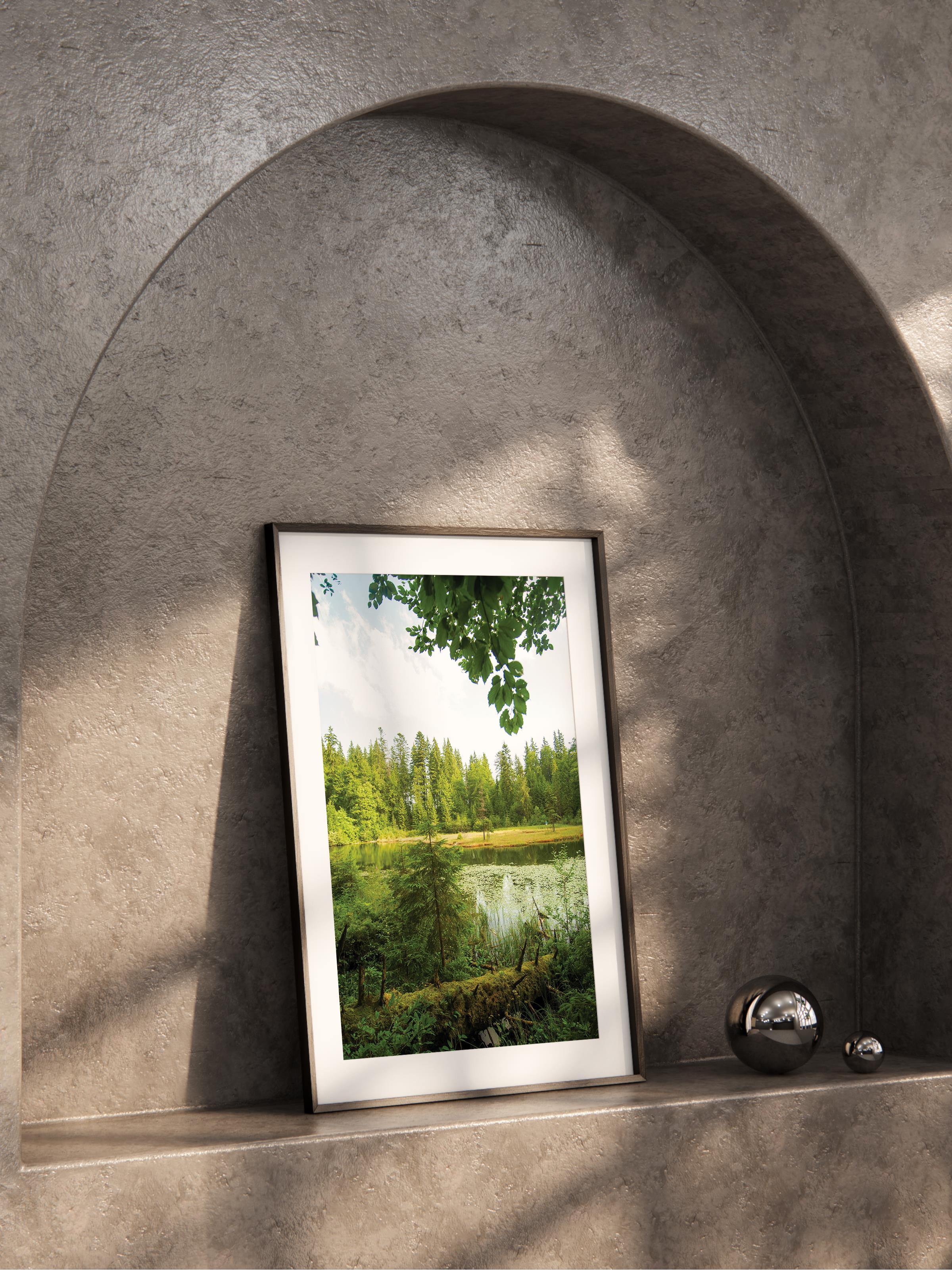 Çerçevesiz Poster Orman No:5, Fotoğraf Baskısı, Salon, Mutfak, Oturma Odası, Hol Duvar Dekoru Poster