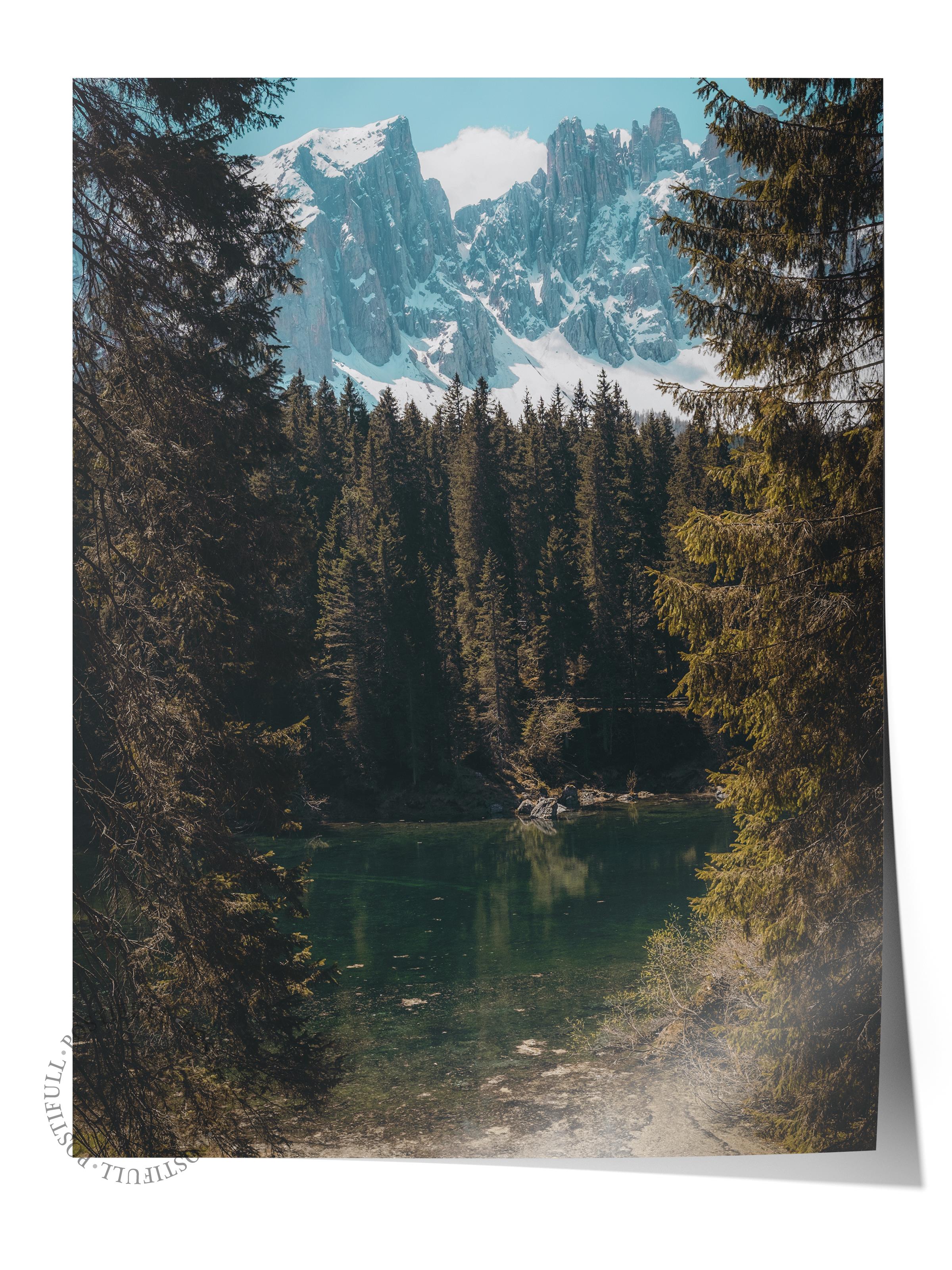 Çerçevesiz Poster Orman No:8, Fotoğraf Baskısı, Salon, Mutfak, Oturma Odası, Hol Duvar Dekoru Poster