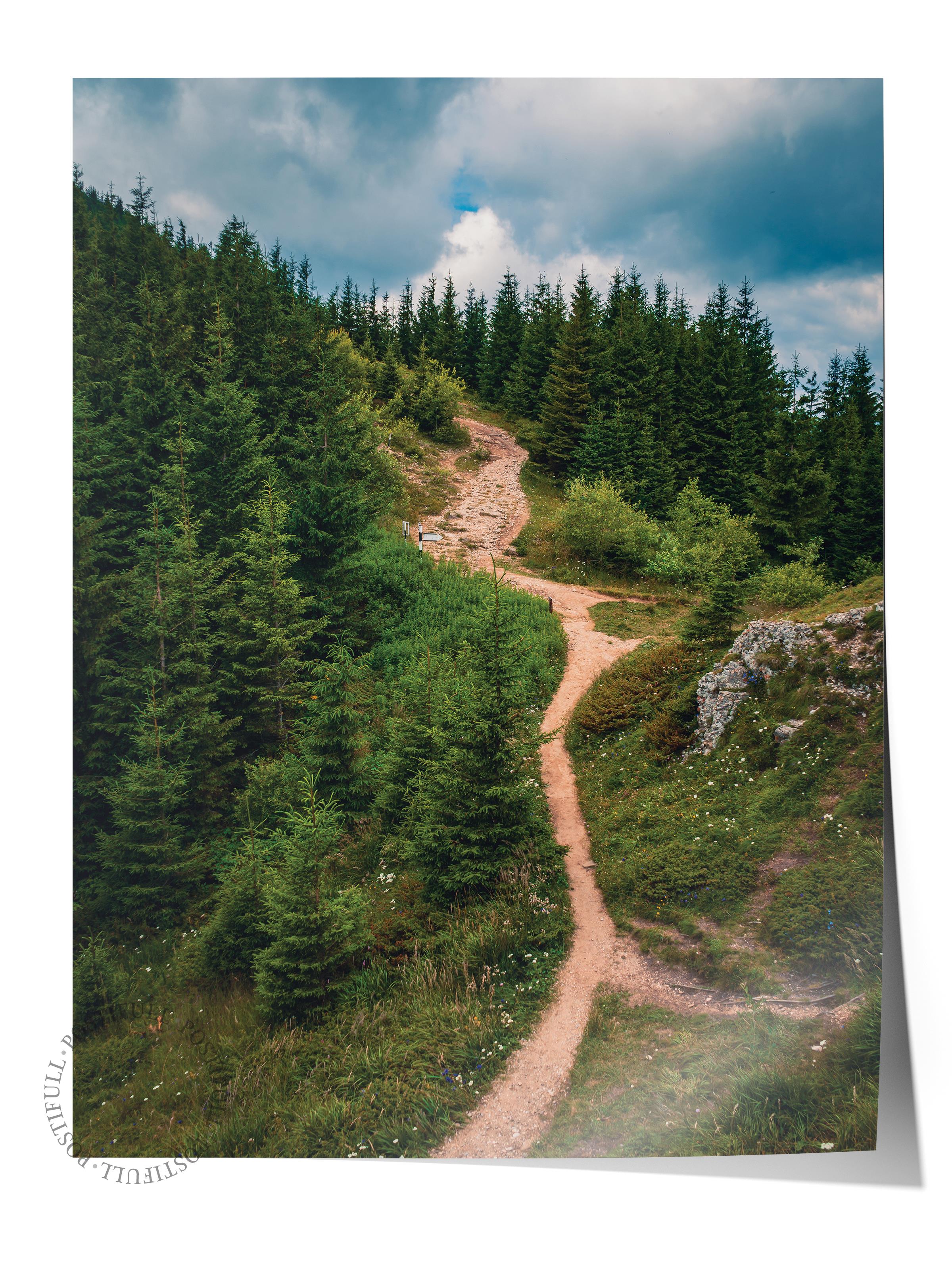 Çerçevesiz Poster Orman No:9, Fotoğraf Baskısı, Salon, Mutfak, Oturma Odası, Hol Duvar Dekoru Poster