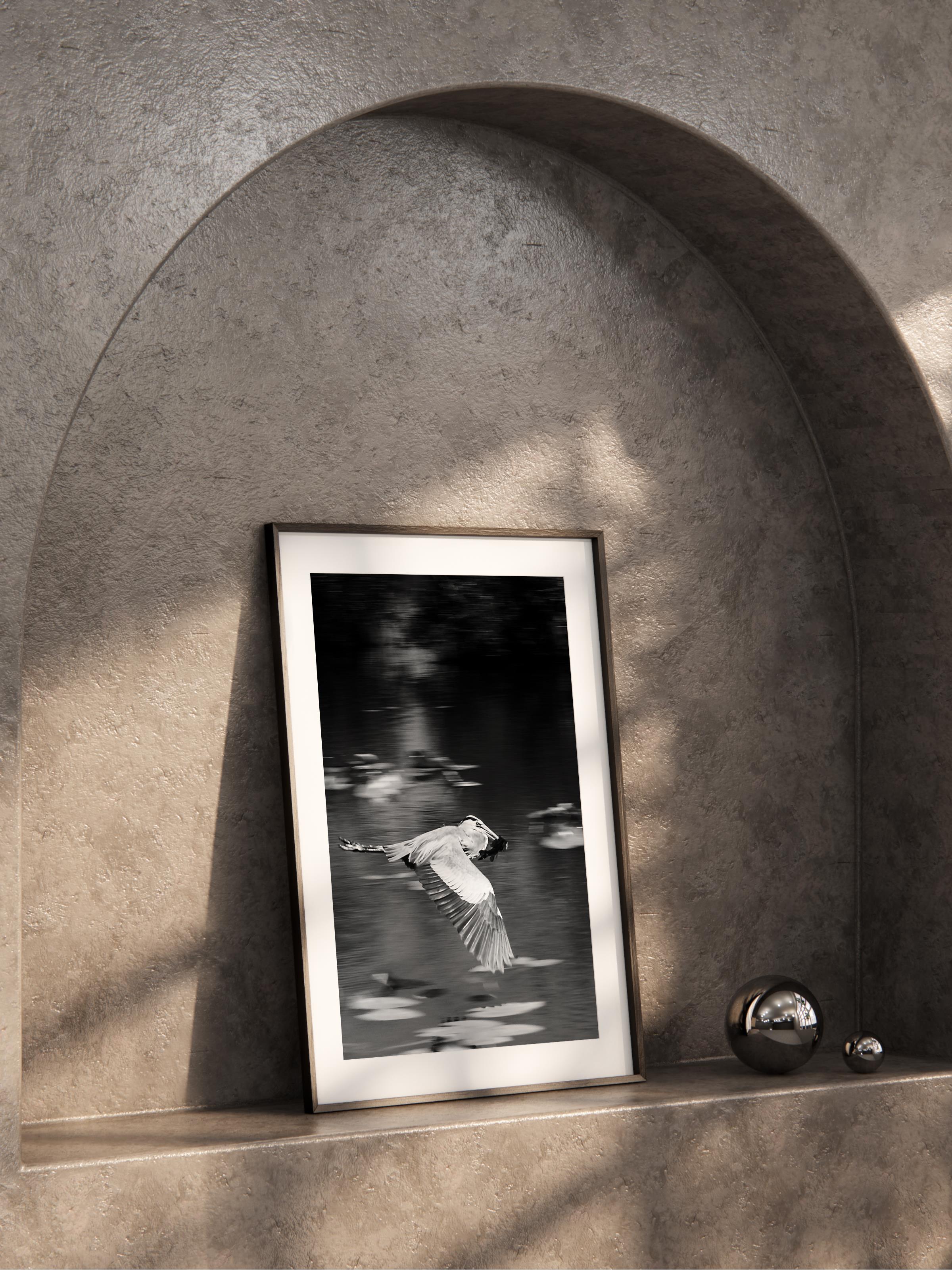 Çerçevesiz Poster, Siyah & Beyaz Fotoğraf No:3, HD Fotoğraf, Salon, Mutfak Duvar Dekoru Poster