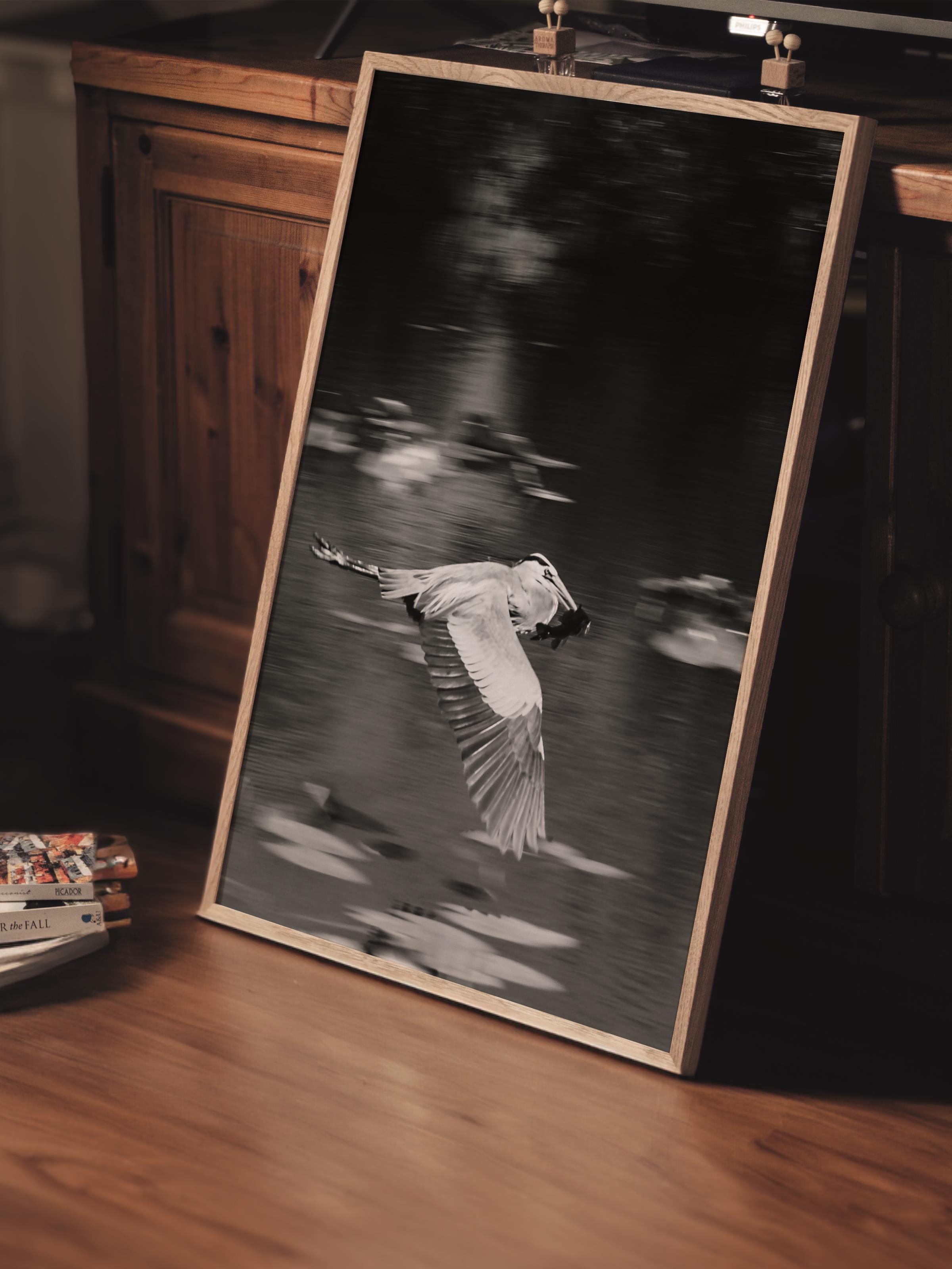 Çerçevesiz Poster, Siyah & Beyaz Fotoğraf No:3, HD Fotoğraf, Salon, Mutfak Duvar Dekoru Poster