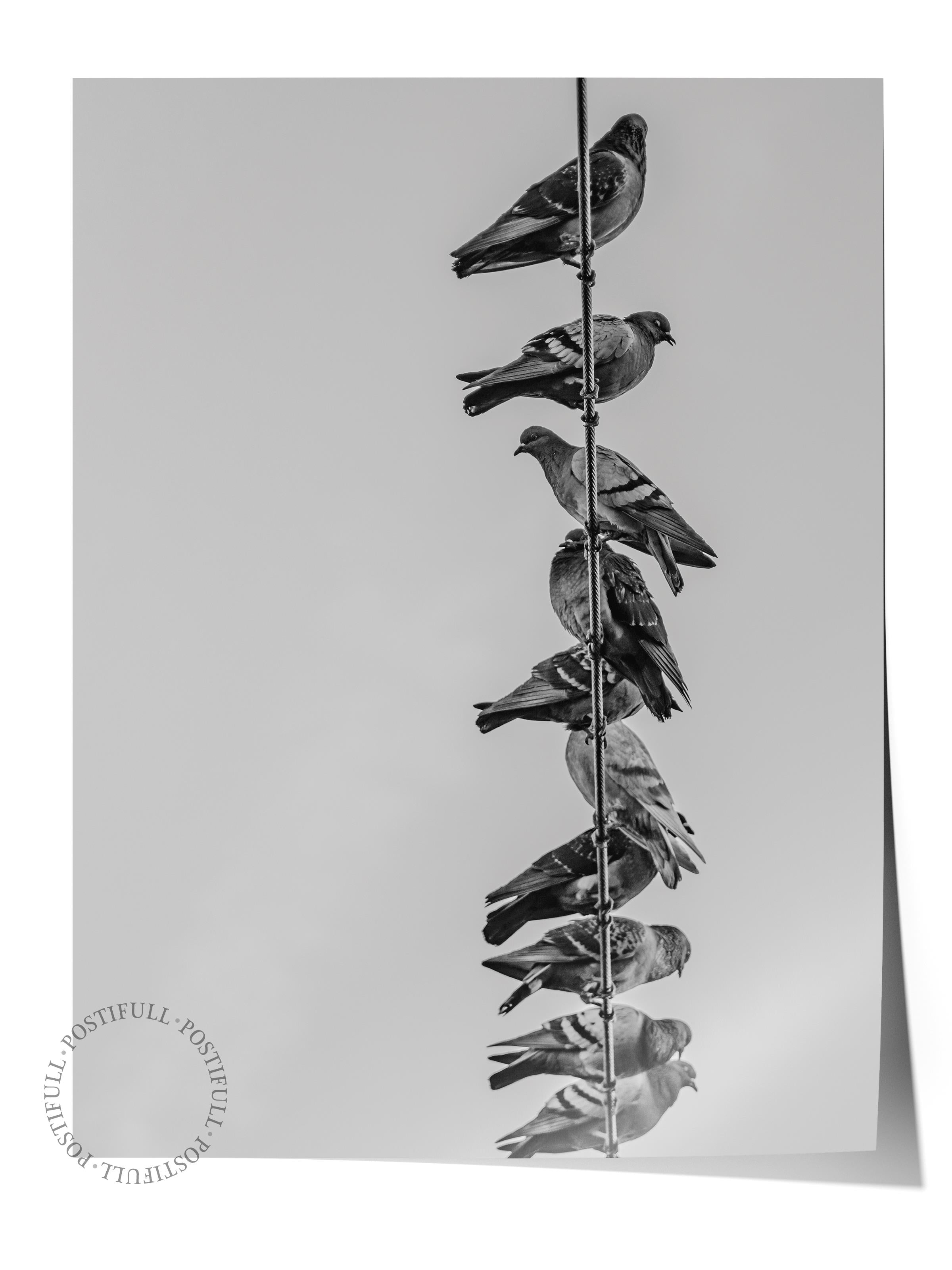 Çerçevesiz Poster, Siyah & Beyaz Fotoğraf No:31, HD Fotoğraf, Salon, Mutfak Duvar Dekoru Poster