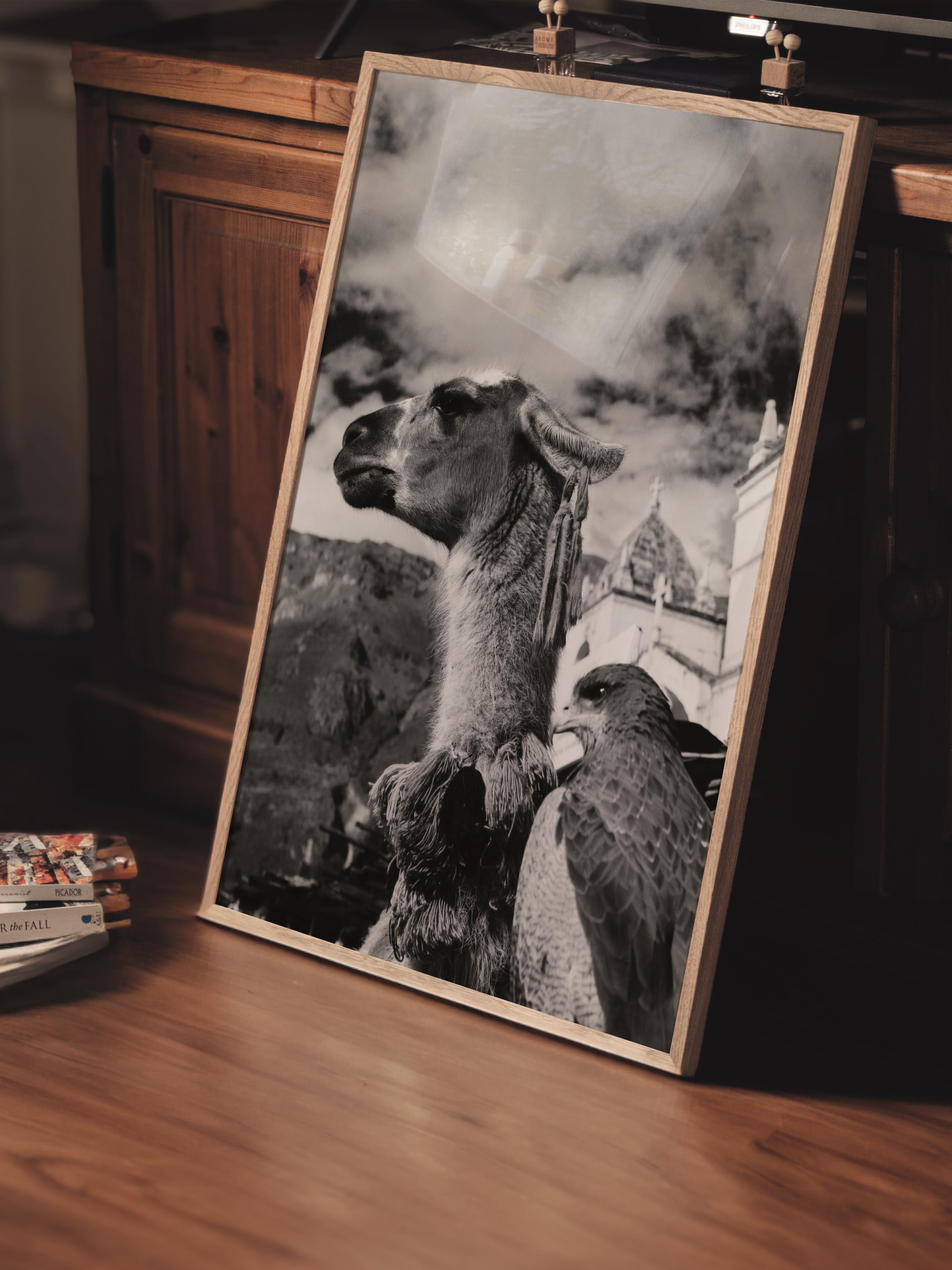 Çerçevesiz Poster, Siyah & Beyaz Fotoğraf No:33, HD Fotoğraf, Salon, Mutfak Duvar Dekoru Poster