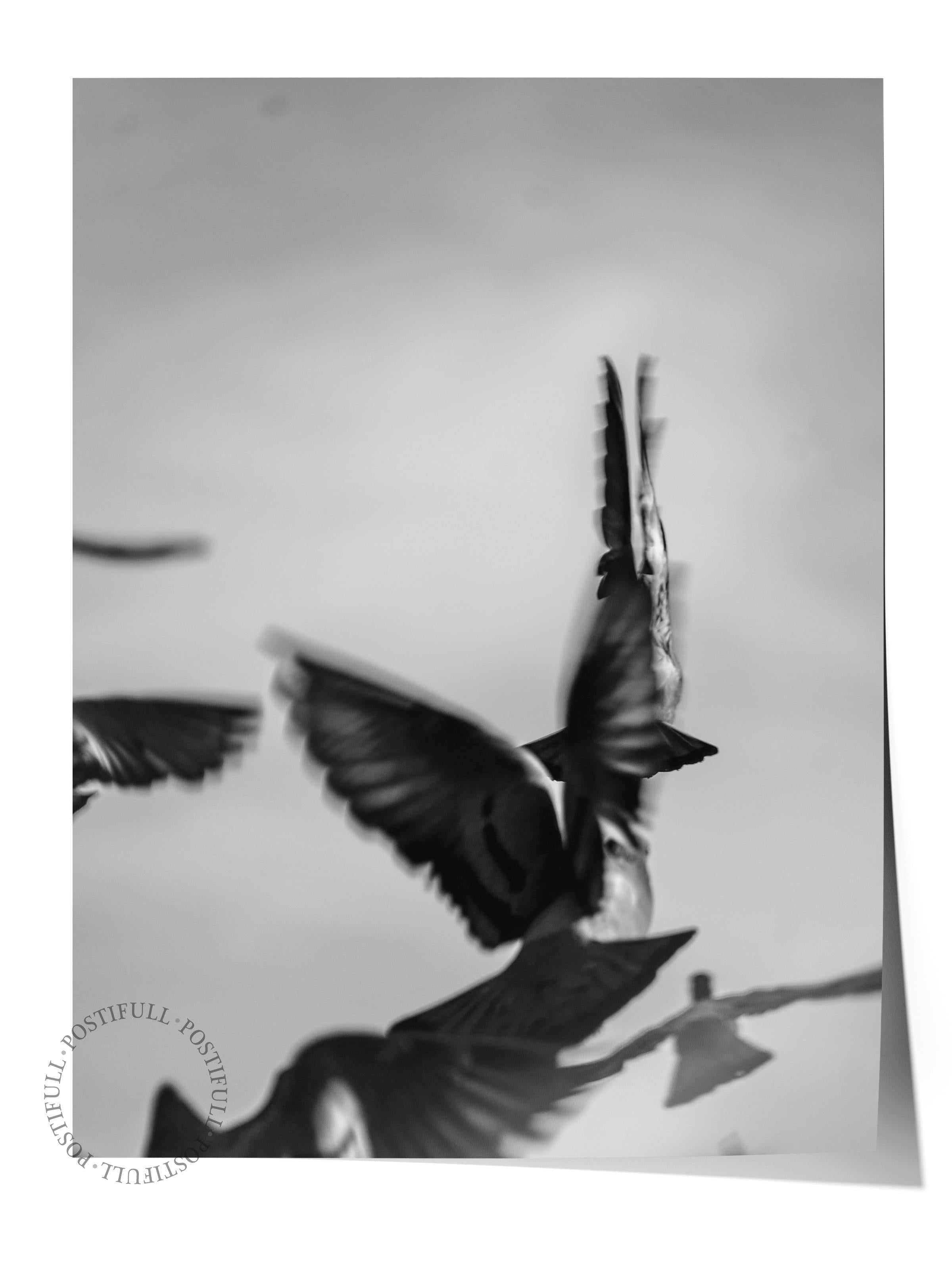 Çerçevesiz Poster, Siyah & Beyaz Fotoğraf No:40, HD Fotoğraf, Salon, Mutfak Duvar Dekoru Poster