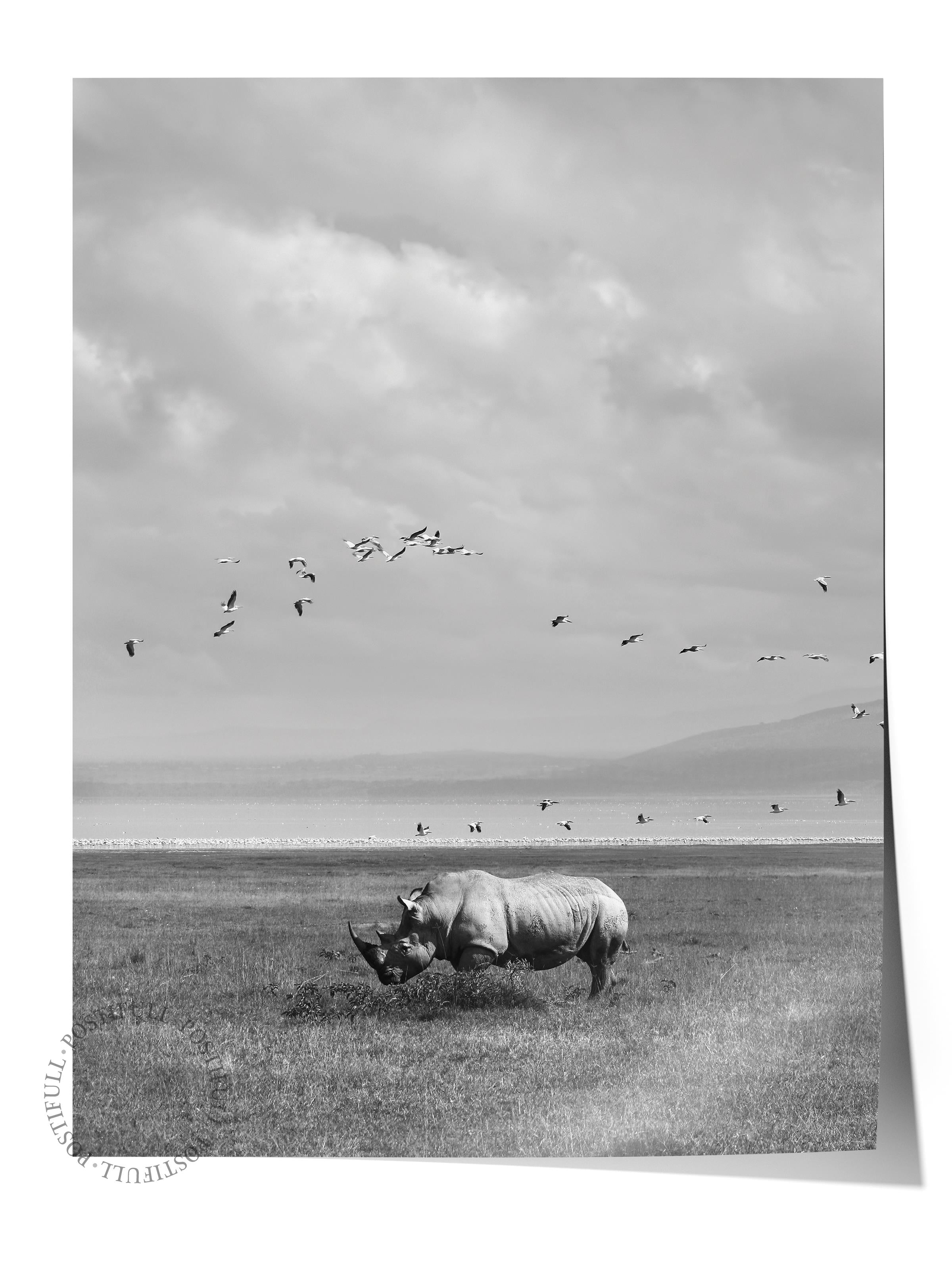 Çerçevesiz Poster, Siyah & Beyaz Fotoğraf No:5, HD Fotoğraf, Salon, Mutfak Duvar Dekoru Poster