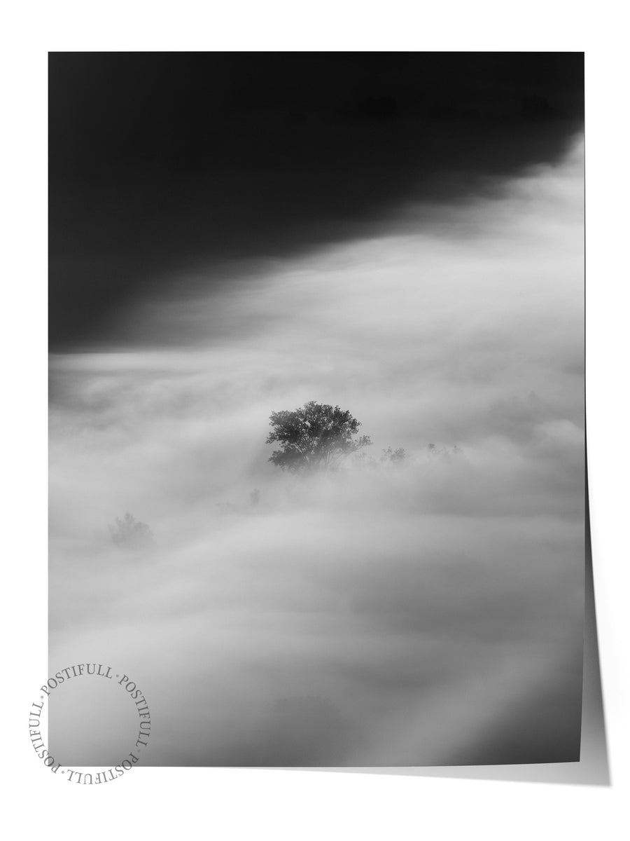 Sis İçinde Yalnız Ağaç Fotoğraf Çerçevesiz Poster