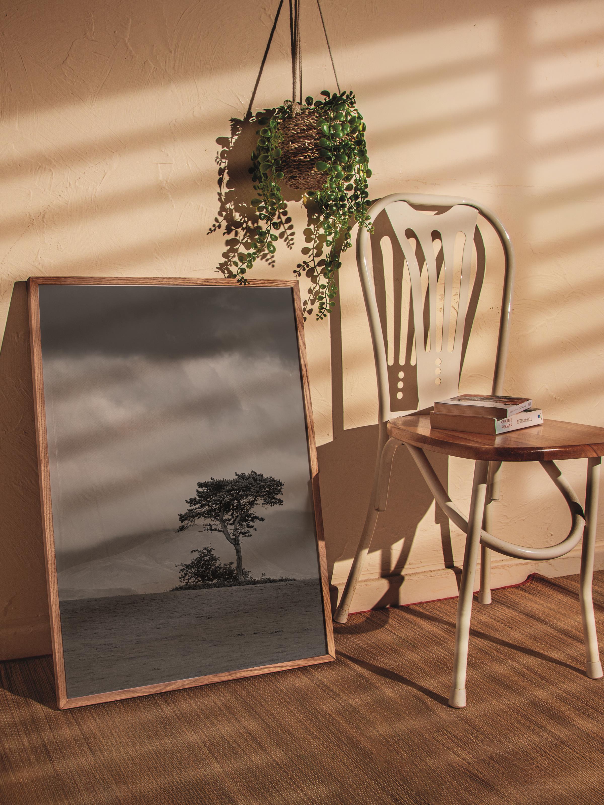 Çerçevesiz Poster, Siyah & Beyaz Fotoğraf No:78, HD Fotoğraf, Salon, Mutfak Duvar Dekoru Poster