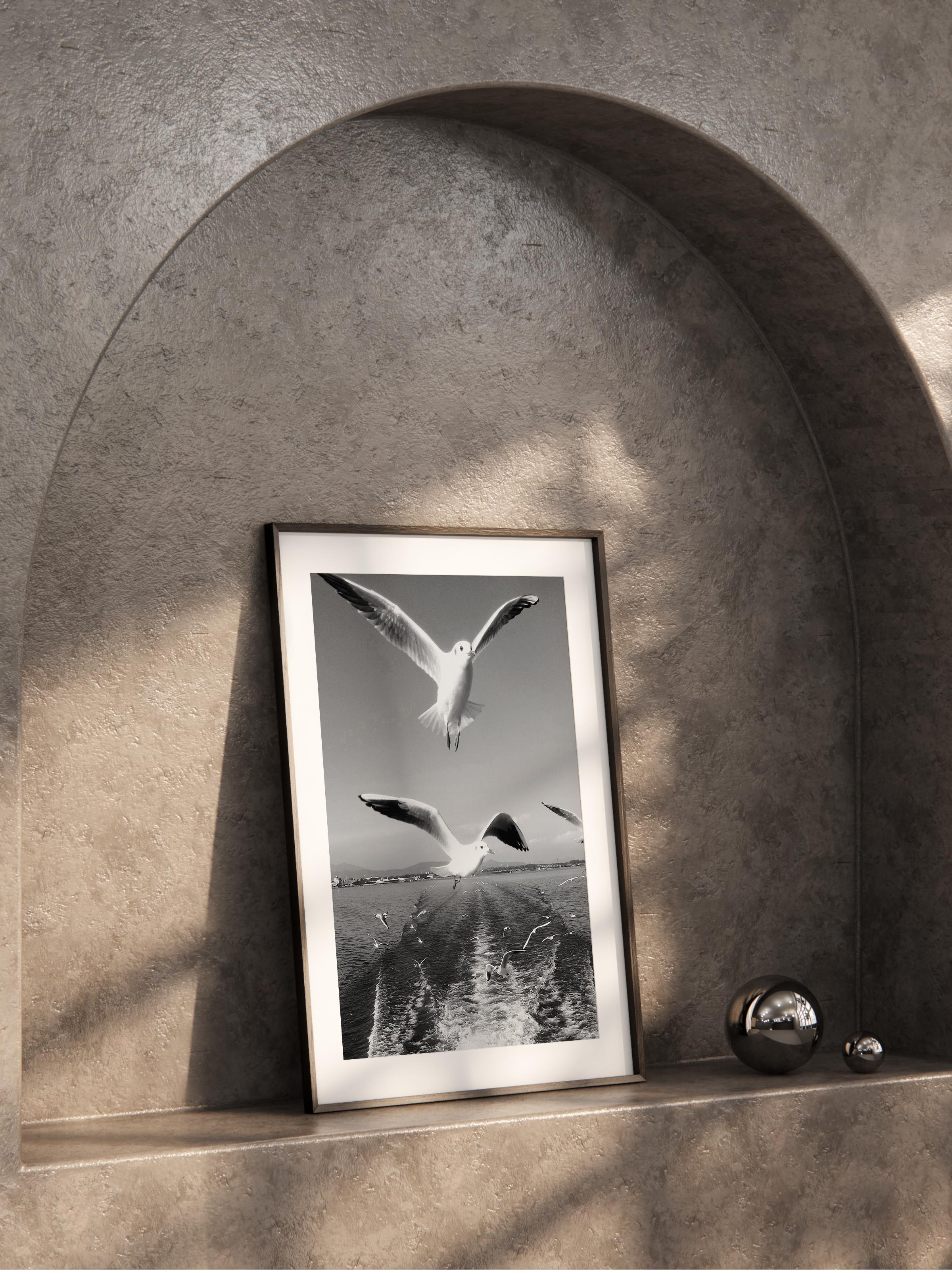 Çerçevesiz Poster, Siyah & Beyaz Fotoğraf No:93, HD Fotoğraf, Salon, Mutfak Duvar Dekoru Poster