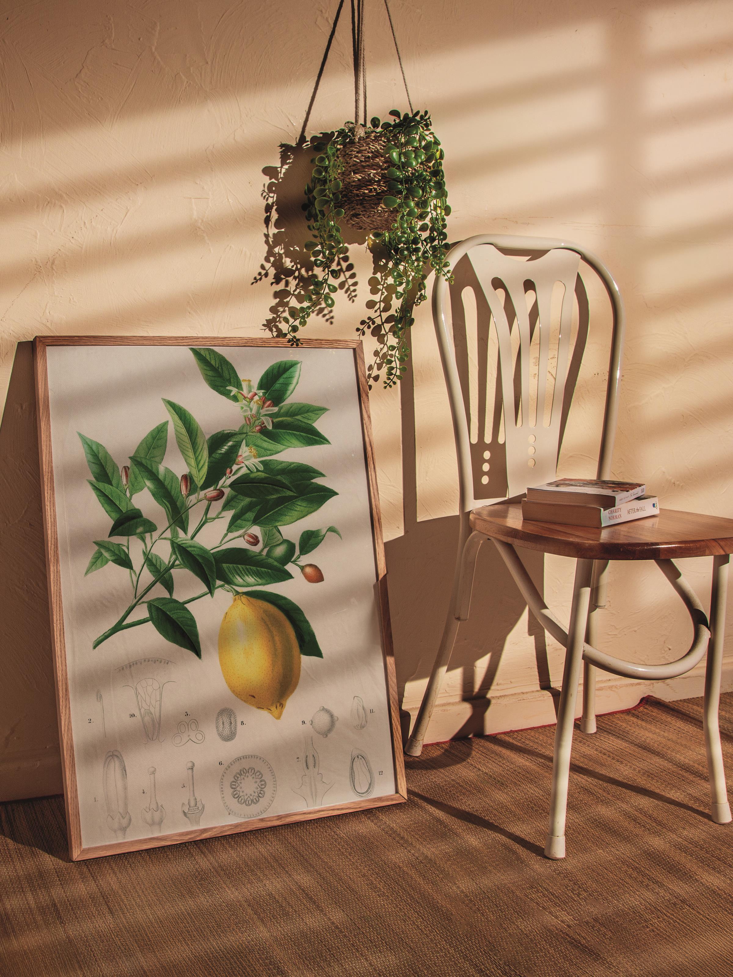 Çerçevesiz Poster Tablo, Duvar Posteri, Kağıt Poster, Limon Ağacı , Maximalist No:258