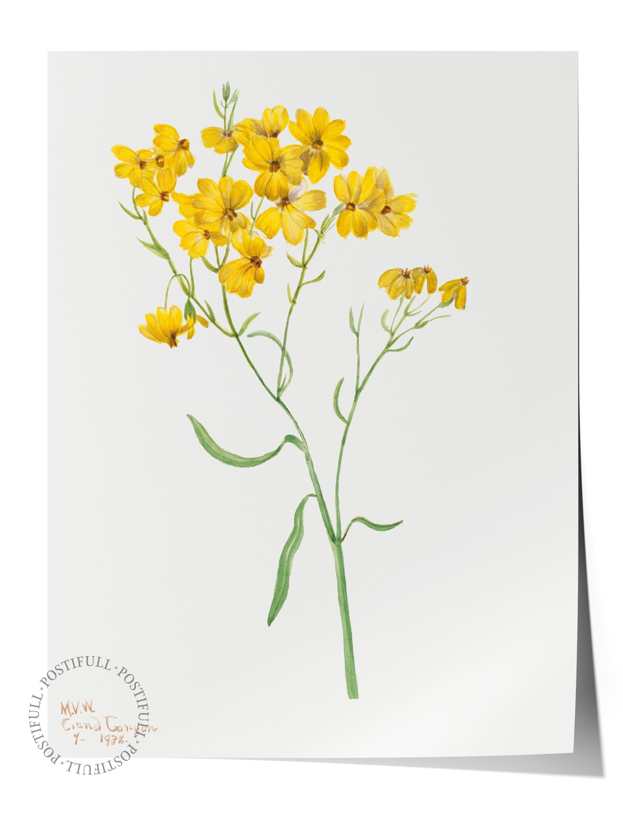 Çerçevesiz Poster Tablo, Duvar Posteri, Kağıt Poster, Sarı Canlılık , Maximalist No:256