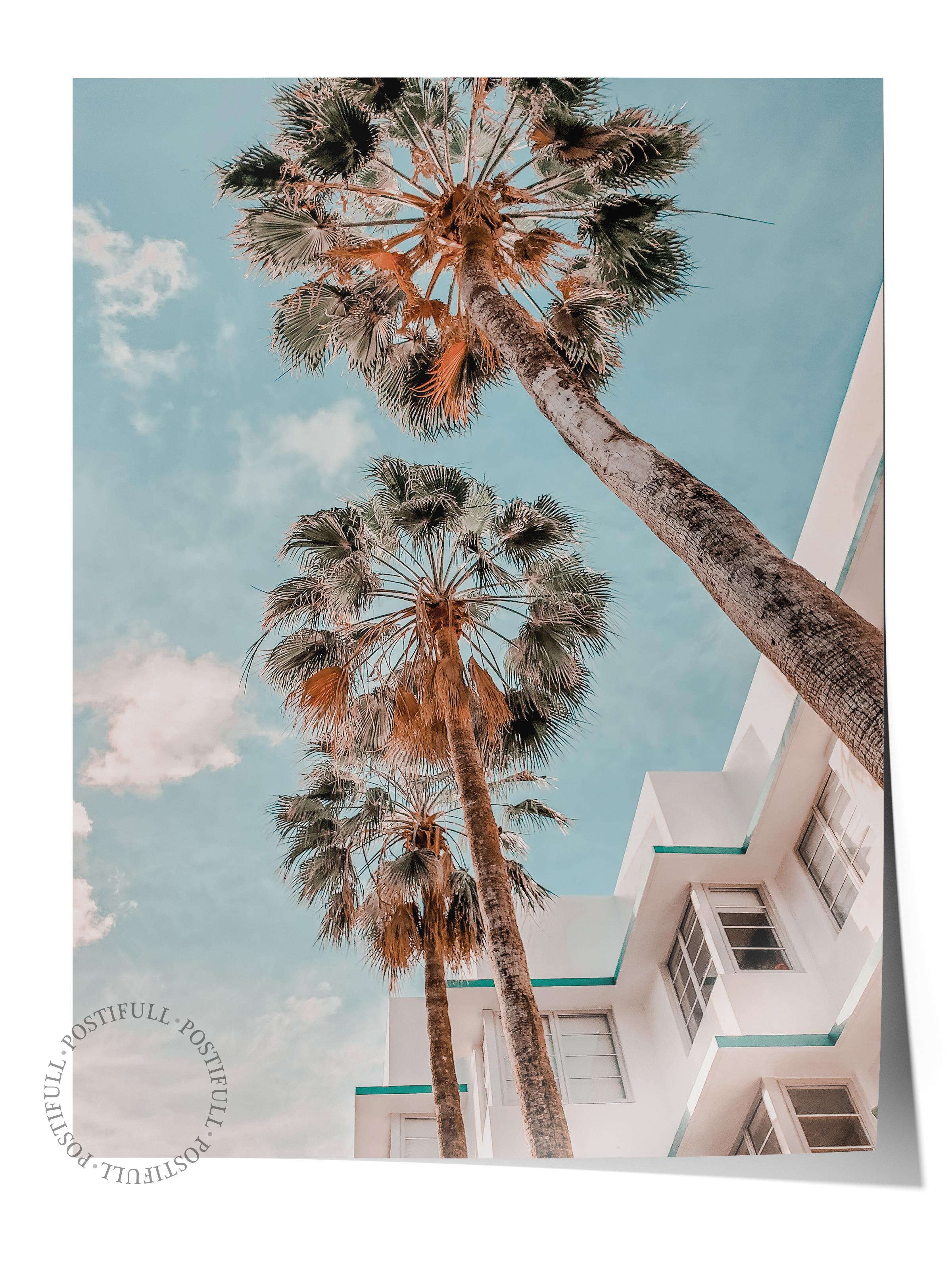 Çerçevesiz Poster, Yaz Temalı Tablo NO:105, Estetik Palmiyeler Fotoğrafı, Mavi Poster, Dikey