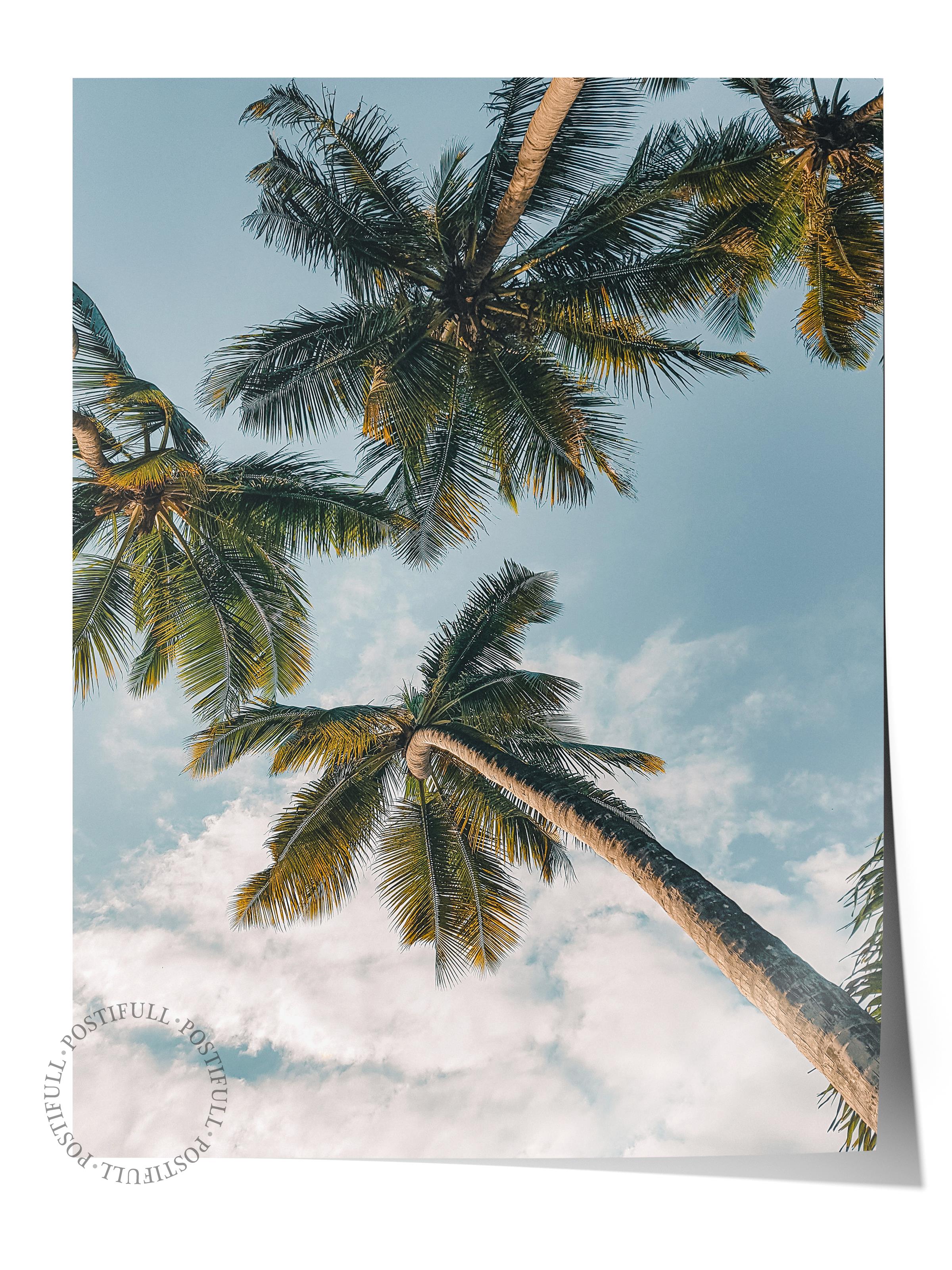 Çerçevesiz Poster, Yaz Temalı Tablo NO:115, Palmiye Ormanı Fotoğrafı, Mavi Poster, Dikey