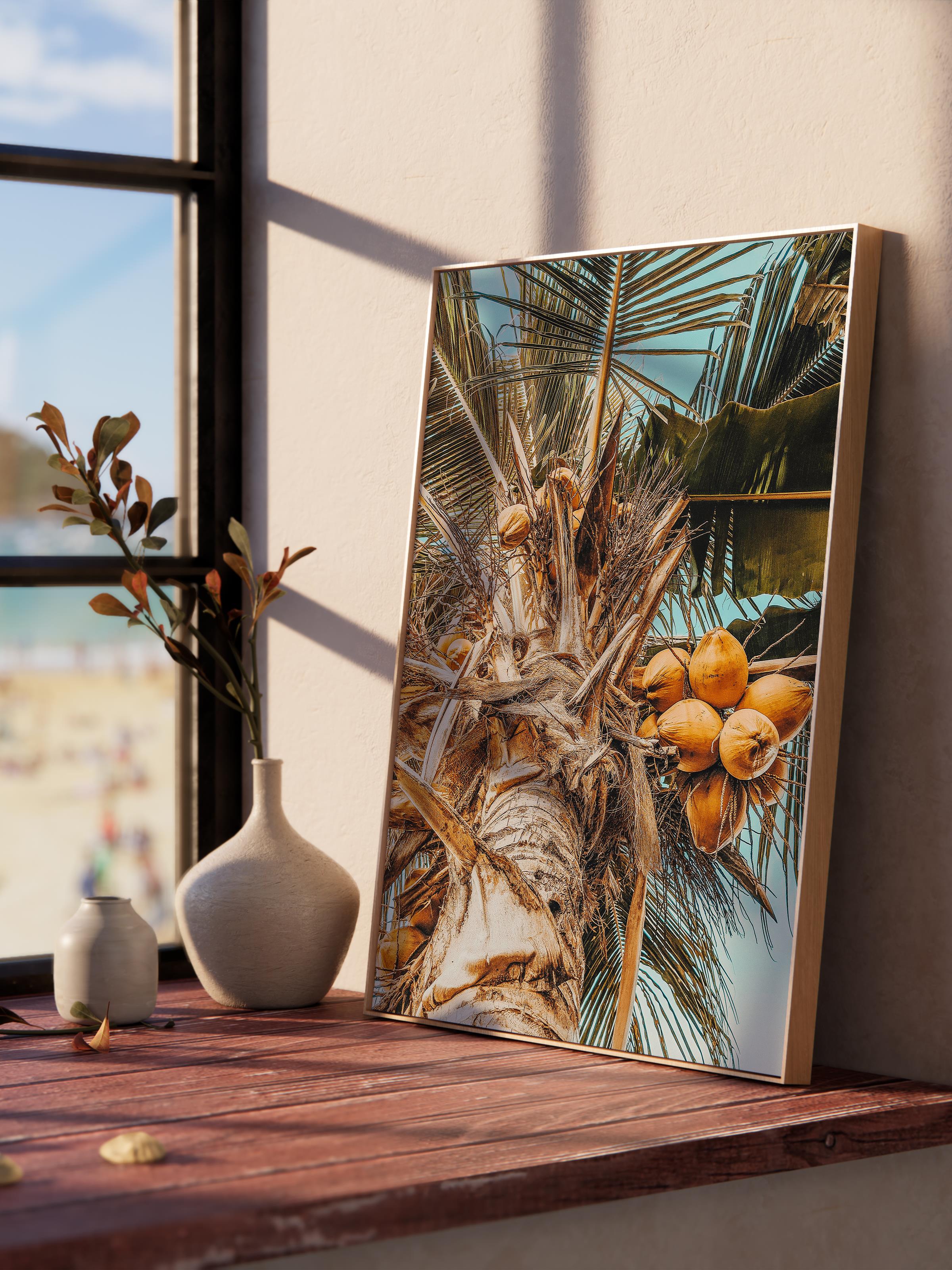 Çerçevesiz Poster, Yaz Temalı Tablo NO:123, Hindistancevizi Ağacı Fotoğrafı, Kahverengi Poster Dikey