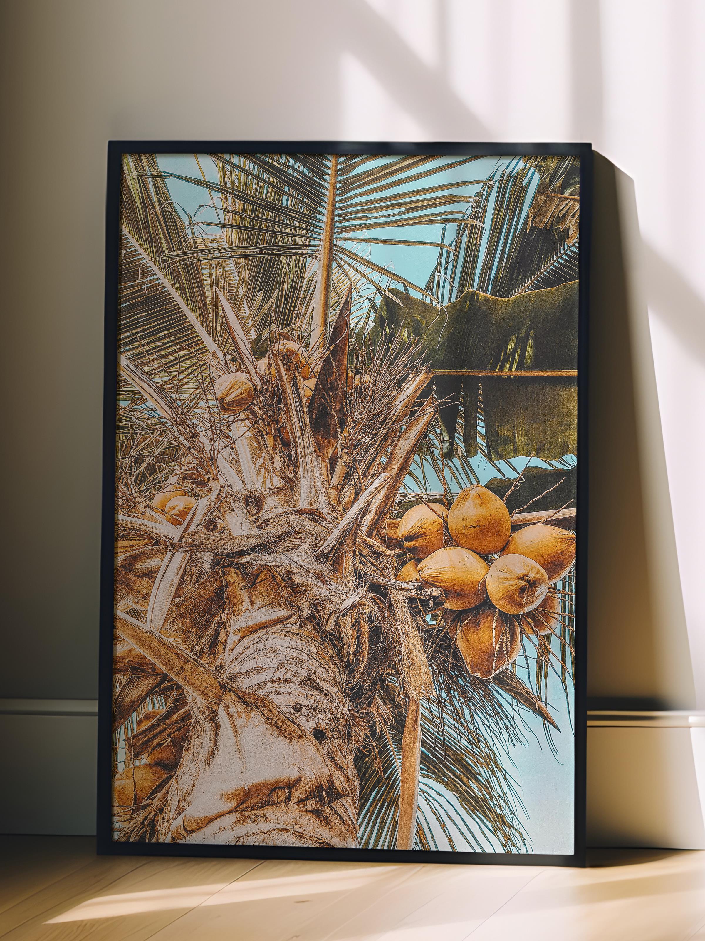 Çerçevesiz Poster, Yaz Temalı Tablo NO:123, Hindistancevizi Ağacı Fotoğrafı, Kahverengi Poster Dikey