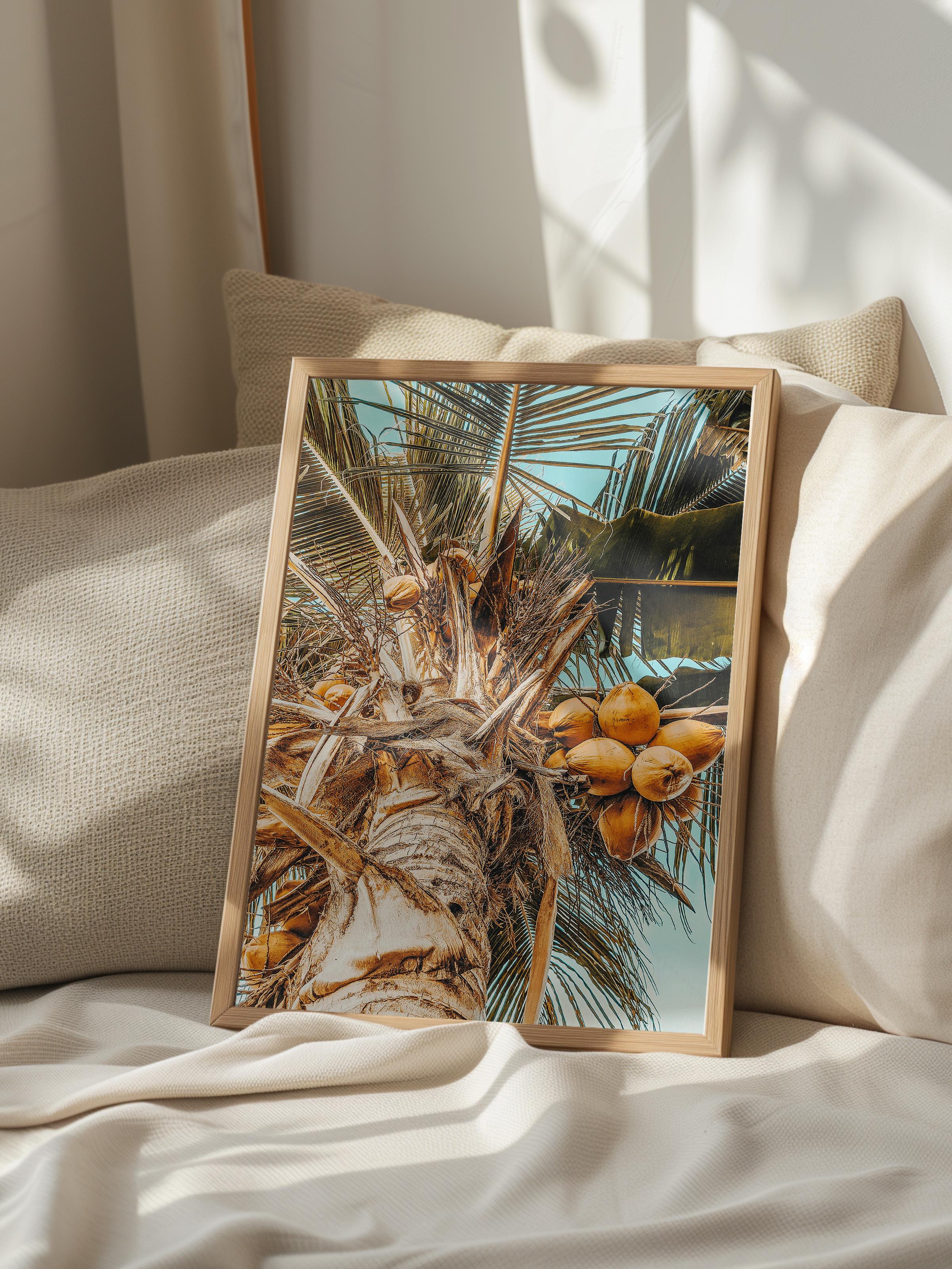 Çerçevesiz Poster, Yaz Temalı Tablo NO:123, Hindistancevizi Ağacı Fotoğrafı, Kahverengi Poster Dikey