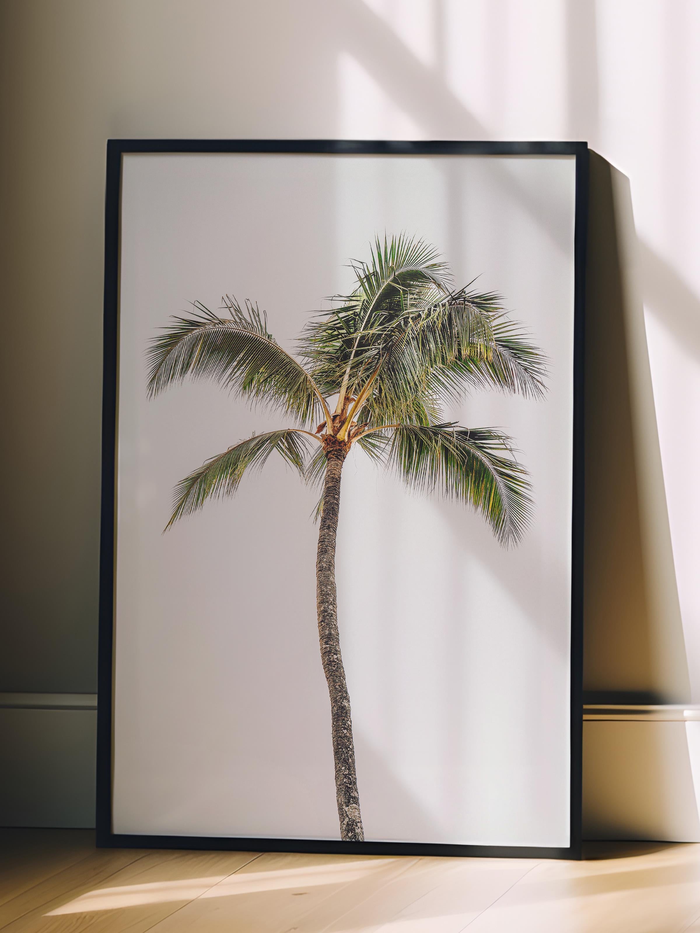 Çerçevesiz Poster, Yaz Temalı Tablo NO:124, Yalnız Palmiye Fotoğrafı, Beyaz Poster, Dikey