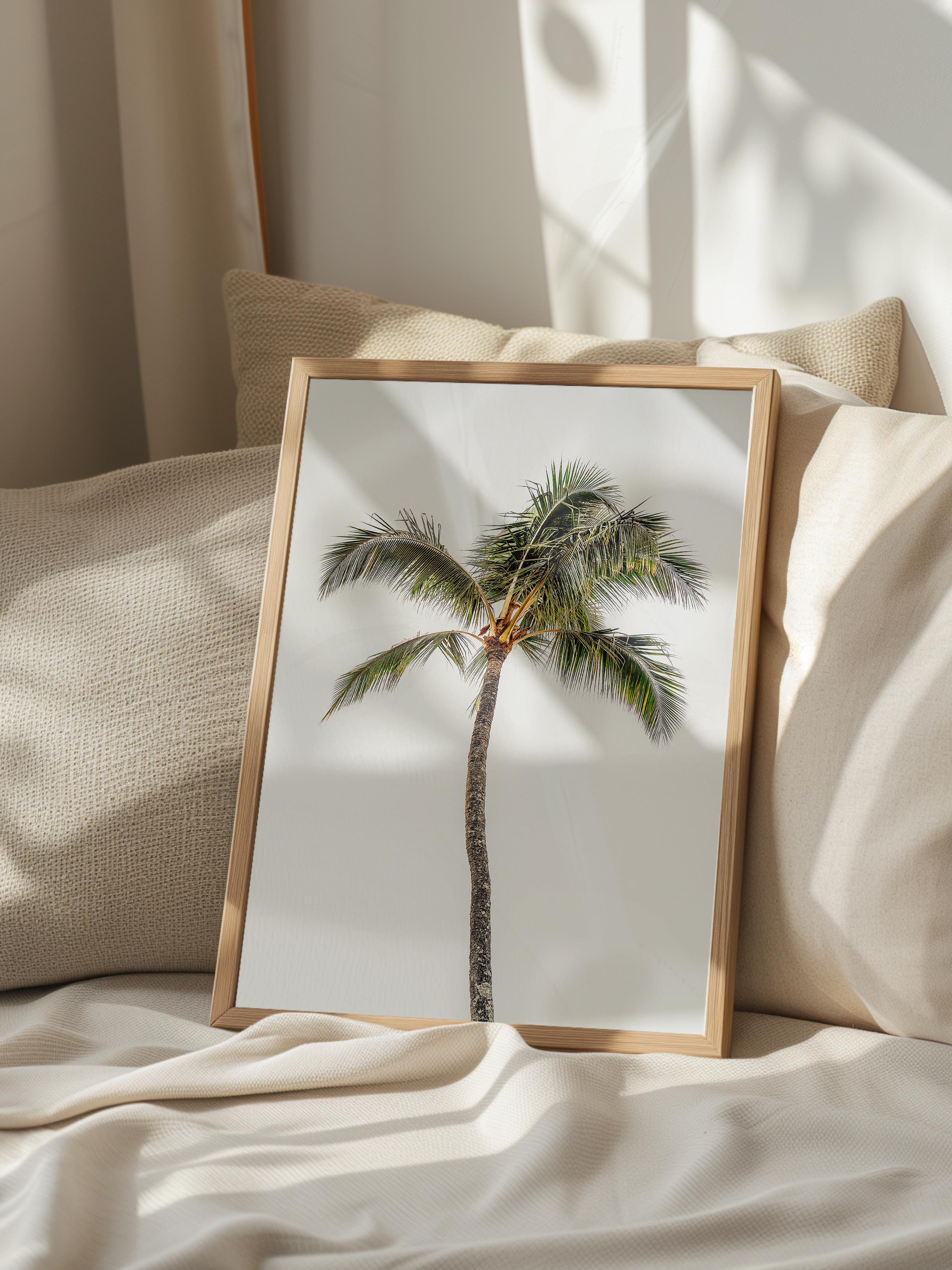 Çerçevesiz Poster, Yaz Temalı Tablo NO:124, Yalnız Palmiye Fotoğrafı, Beyaz Poster, Dikey