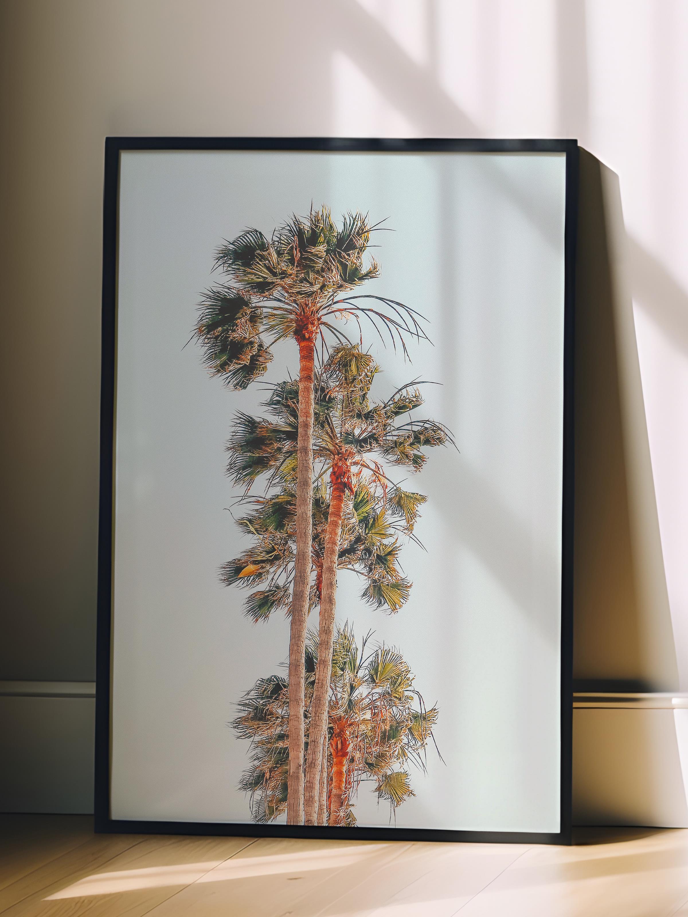 Çerçevesiz Poster, Yaz Temalı Tablo NO:126, Palmiye Kümesi Fotoğrafı, Mavi Poster, Dikey