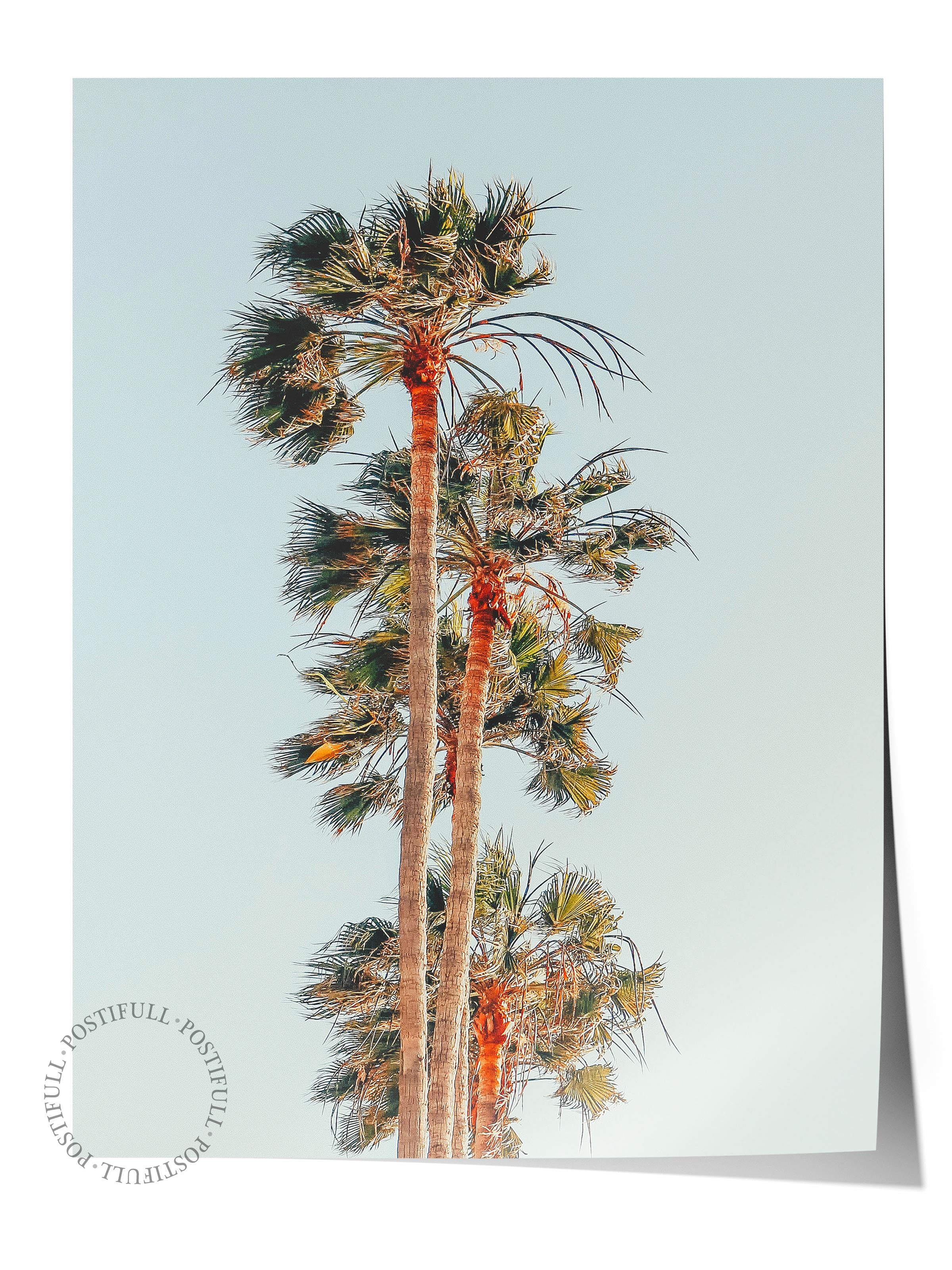 Çerçevesiz Poster, Yaz Temalı Tablo NO:126, Palmiye Kümesi Fotoğrafı, Mavi Poster, Dikey