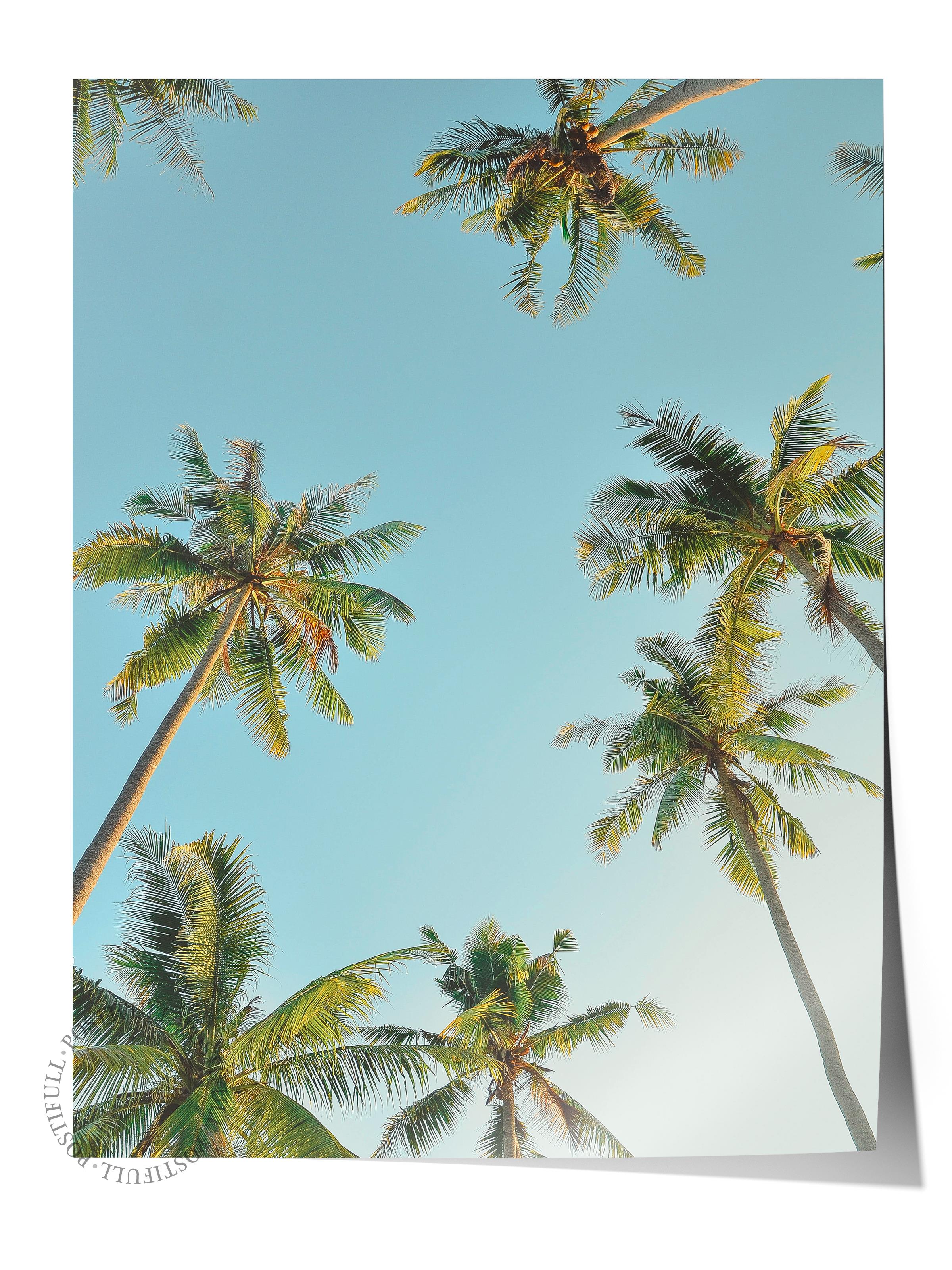 Çerçevesiz Poster, Yaz Temalı Tablo NO:132, Palmiye ve Mavi Gökyüzü Fotoğrafı, Mavi Poster, Dikey